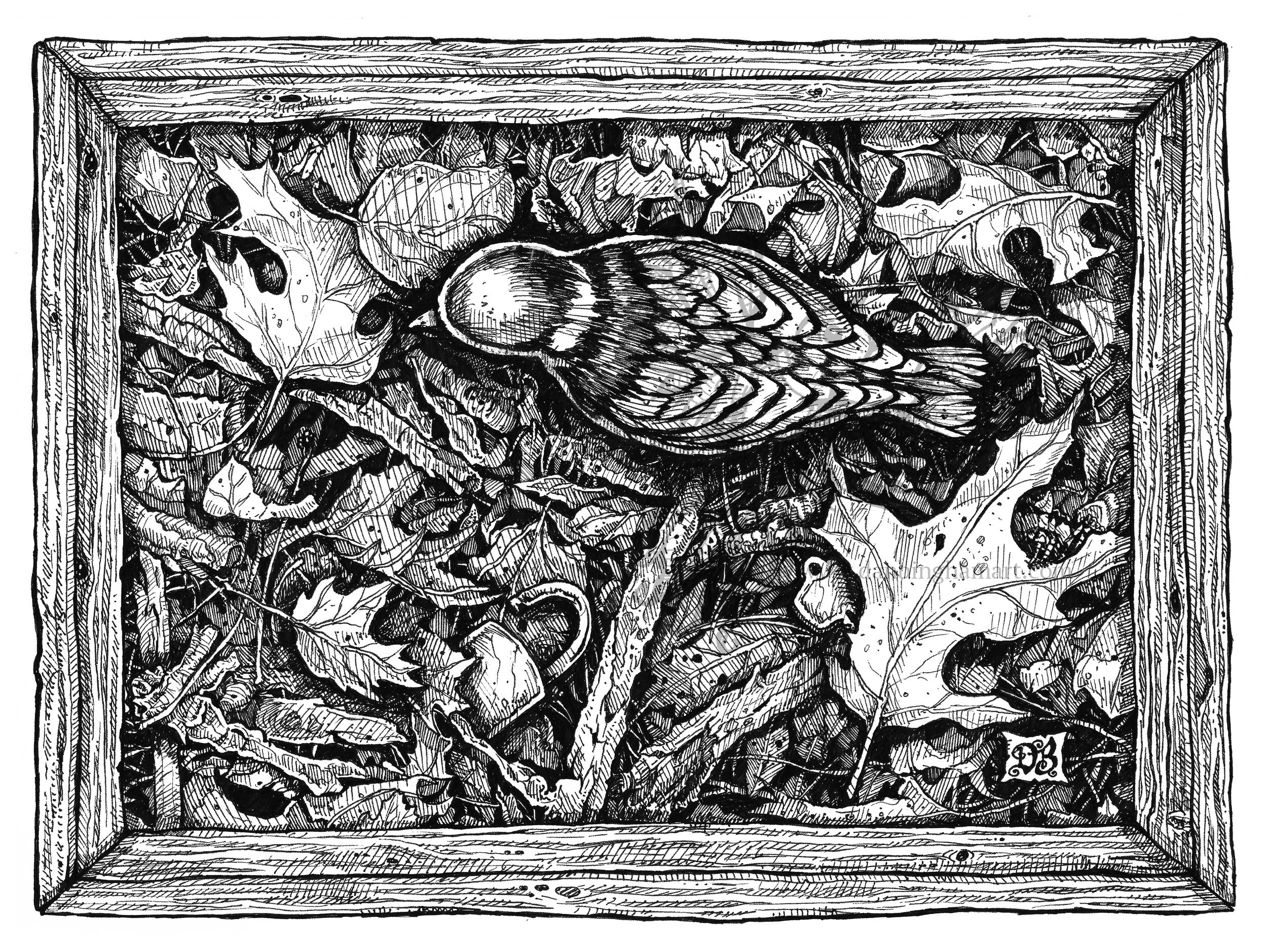 Among the Leaves