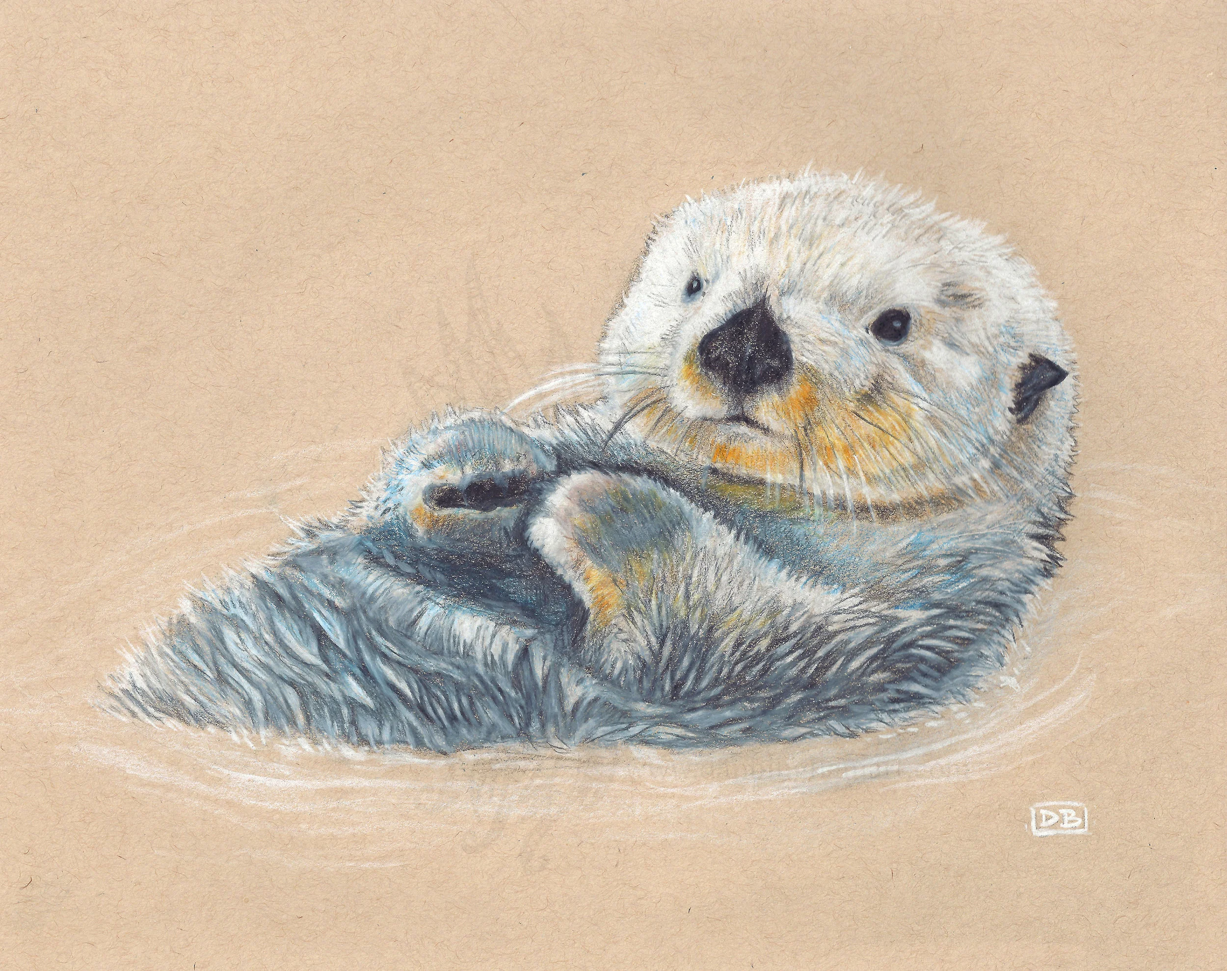Otter WATERMARKED.jpg