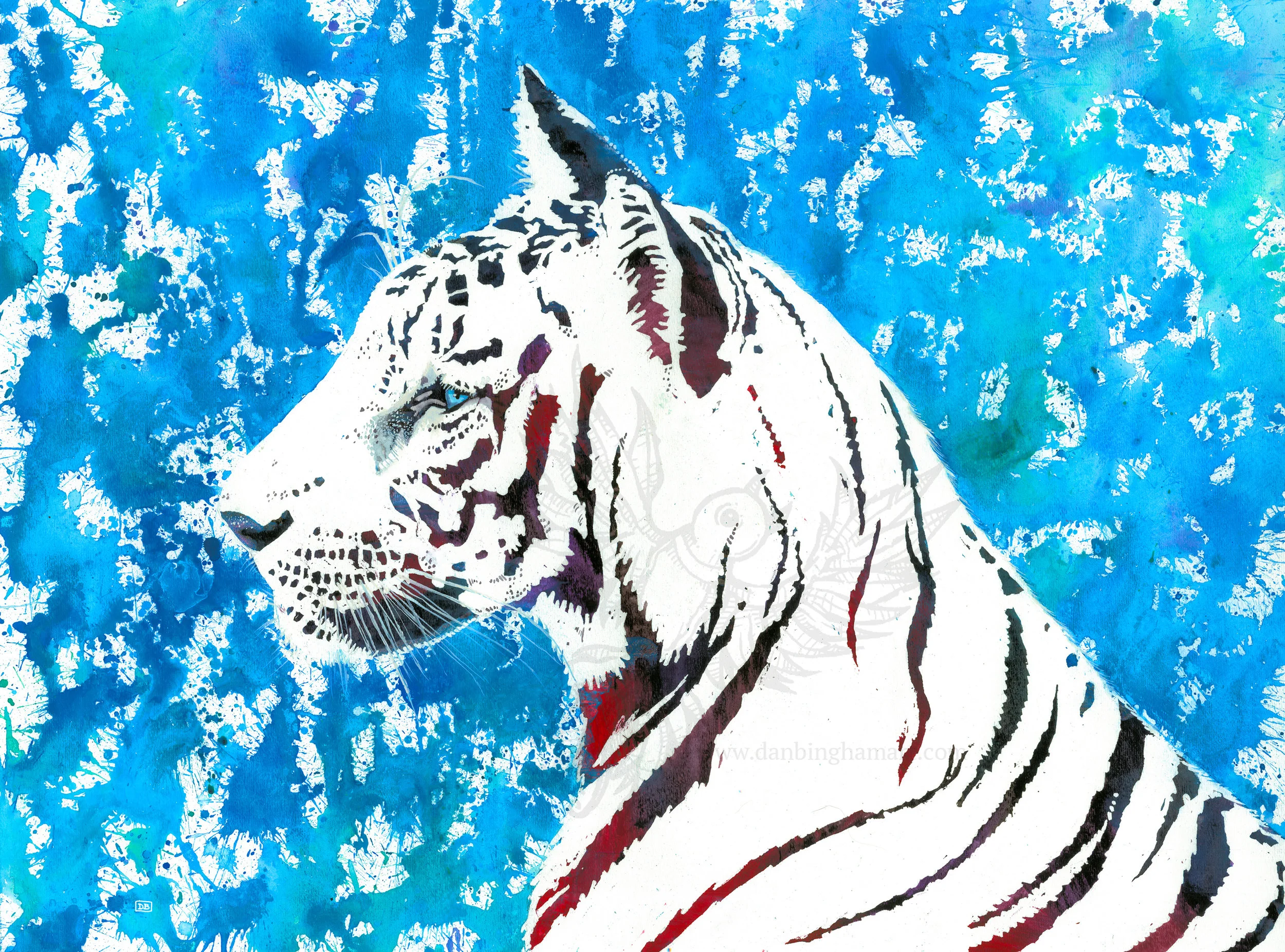 Tiger Splash WATERMARKED.jpg