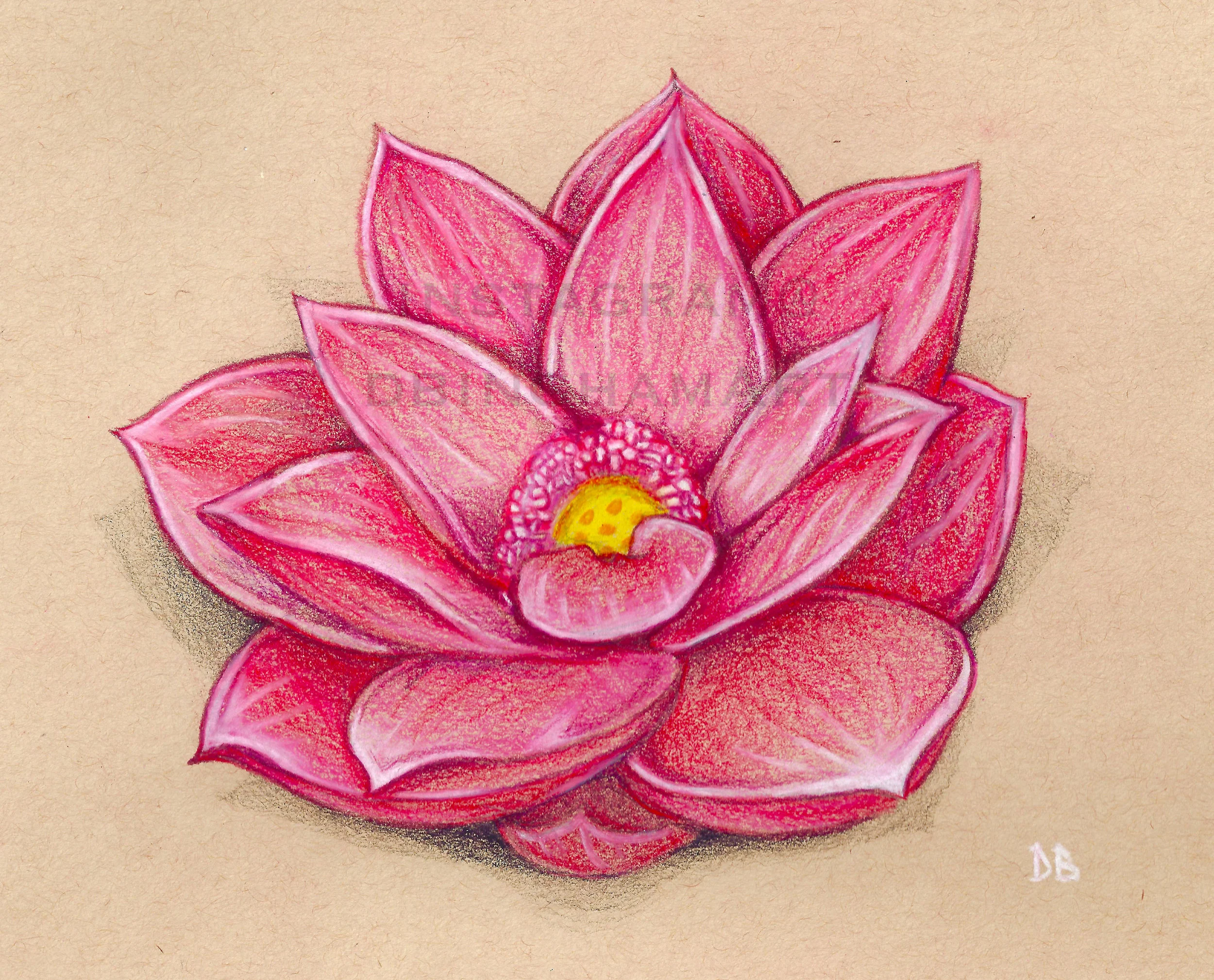 LOTUS WATERMARKED.jpg