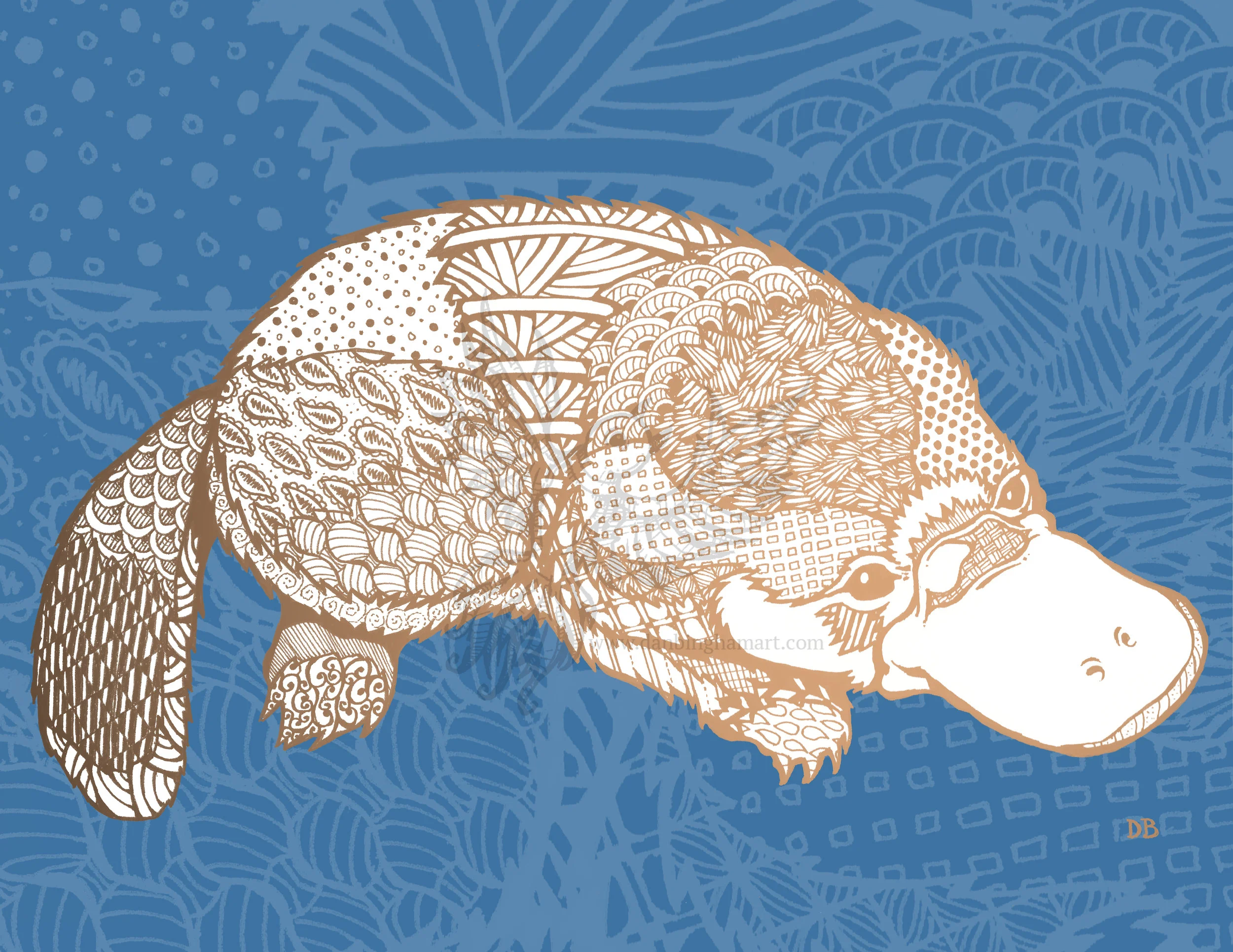 Platy pancake WATERMARKED.jpg