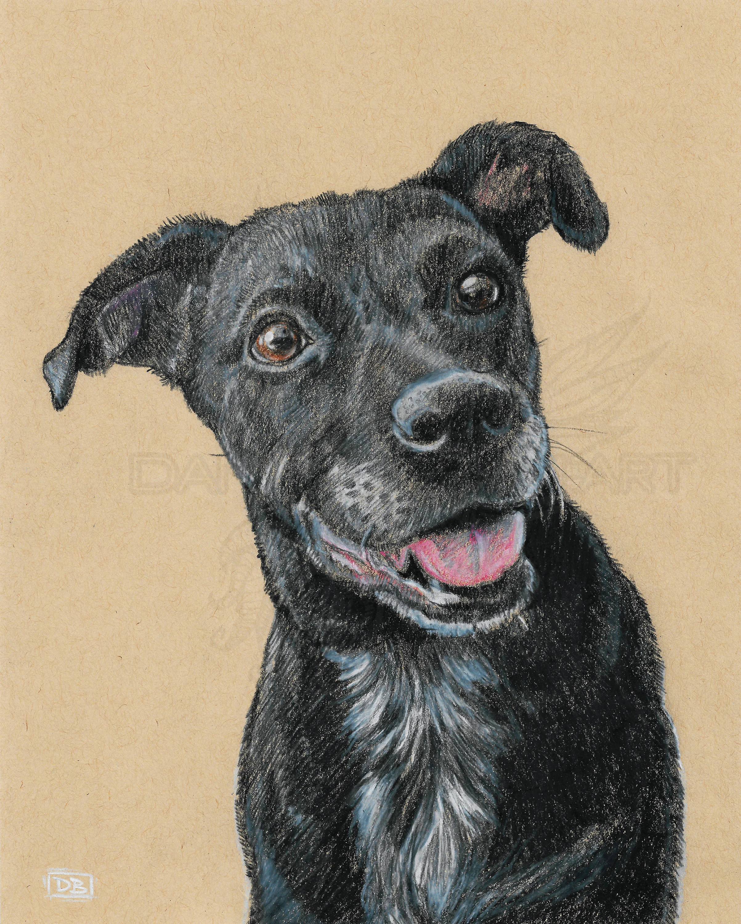 Black Lab