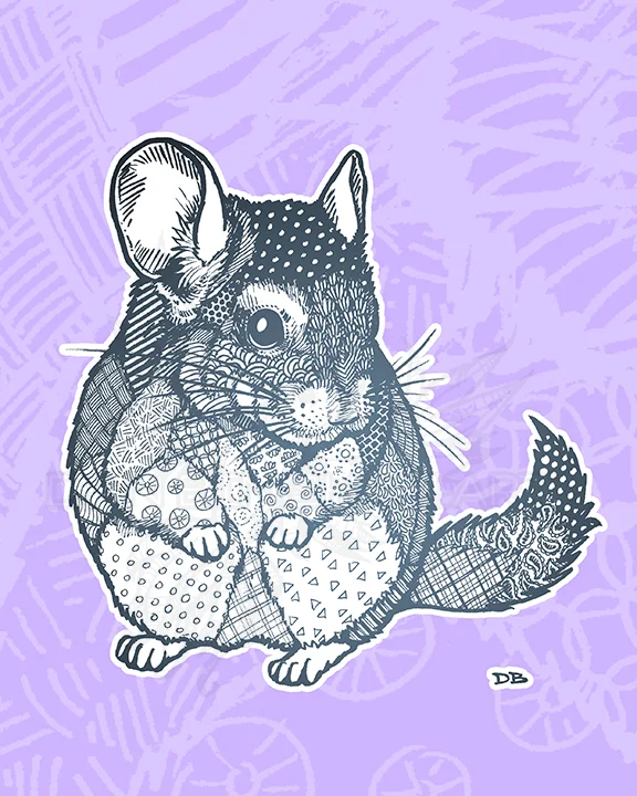 Zen Chinchilla COLOR WATERMARKED.jpg