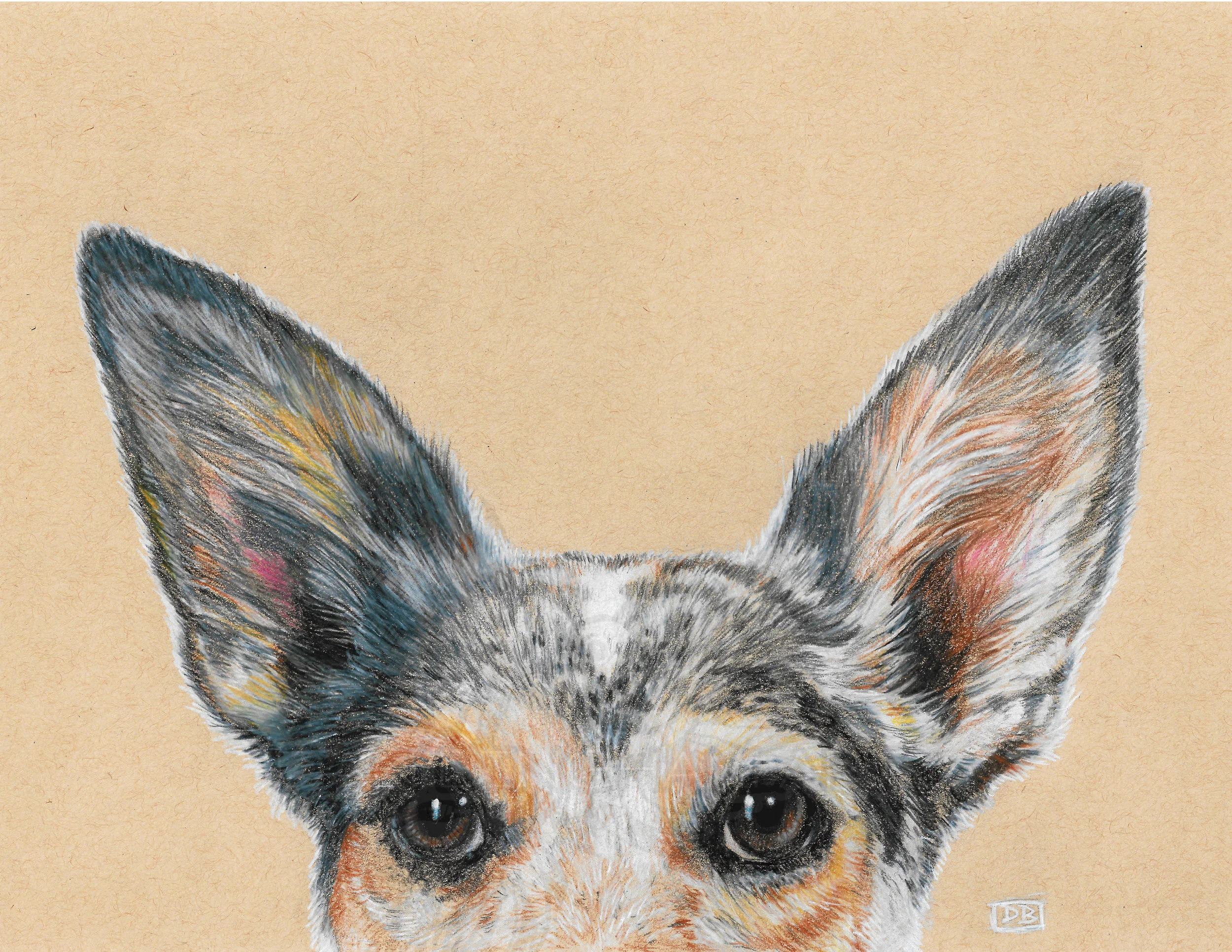 Nymeria Pet Portrait