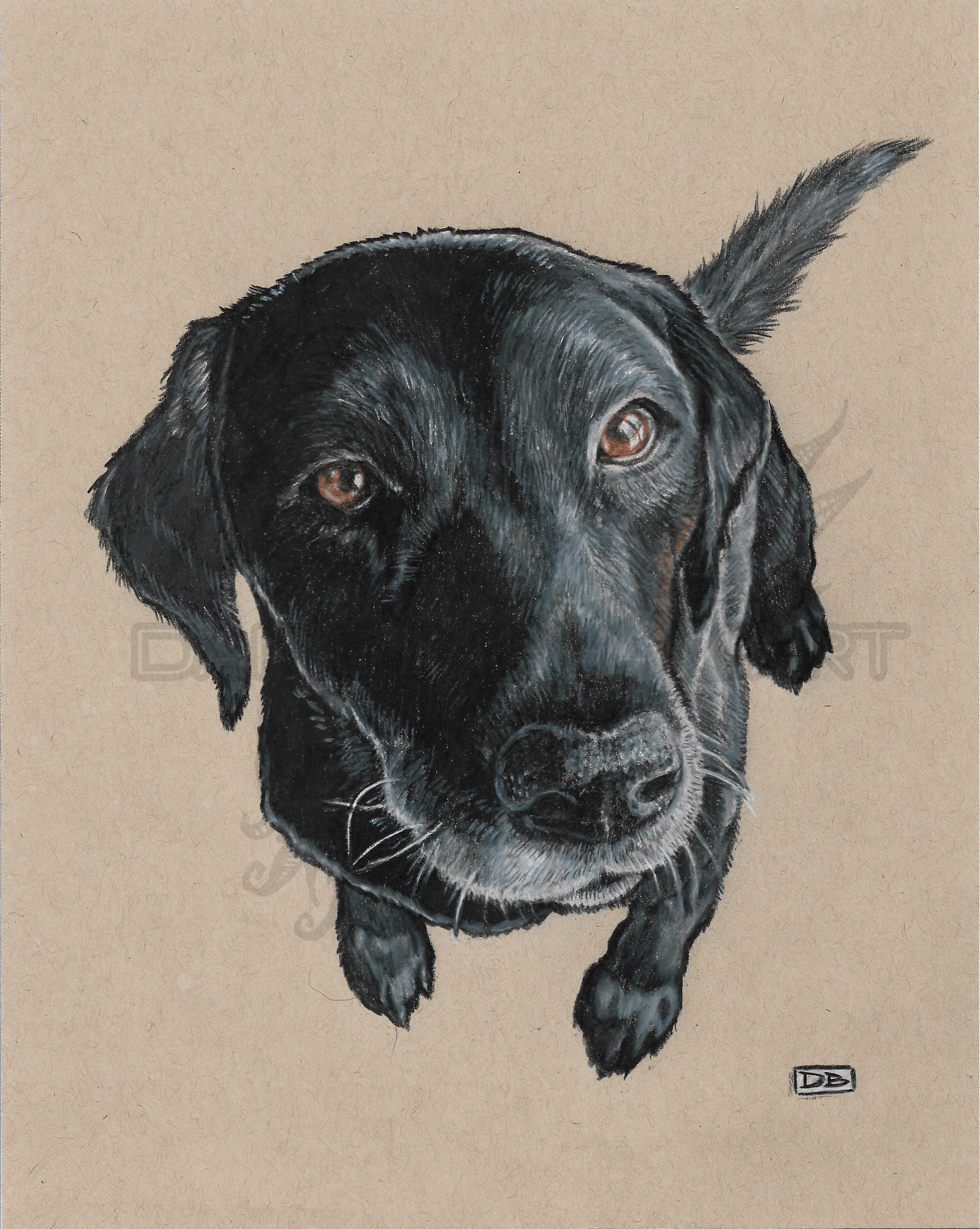 Susie Pet Portrait Commission