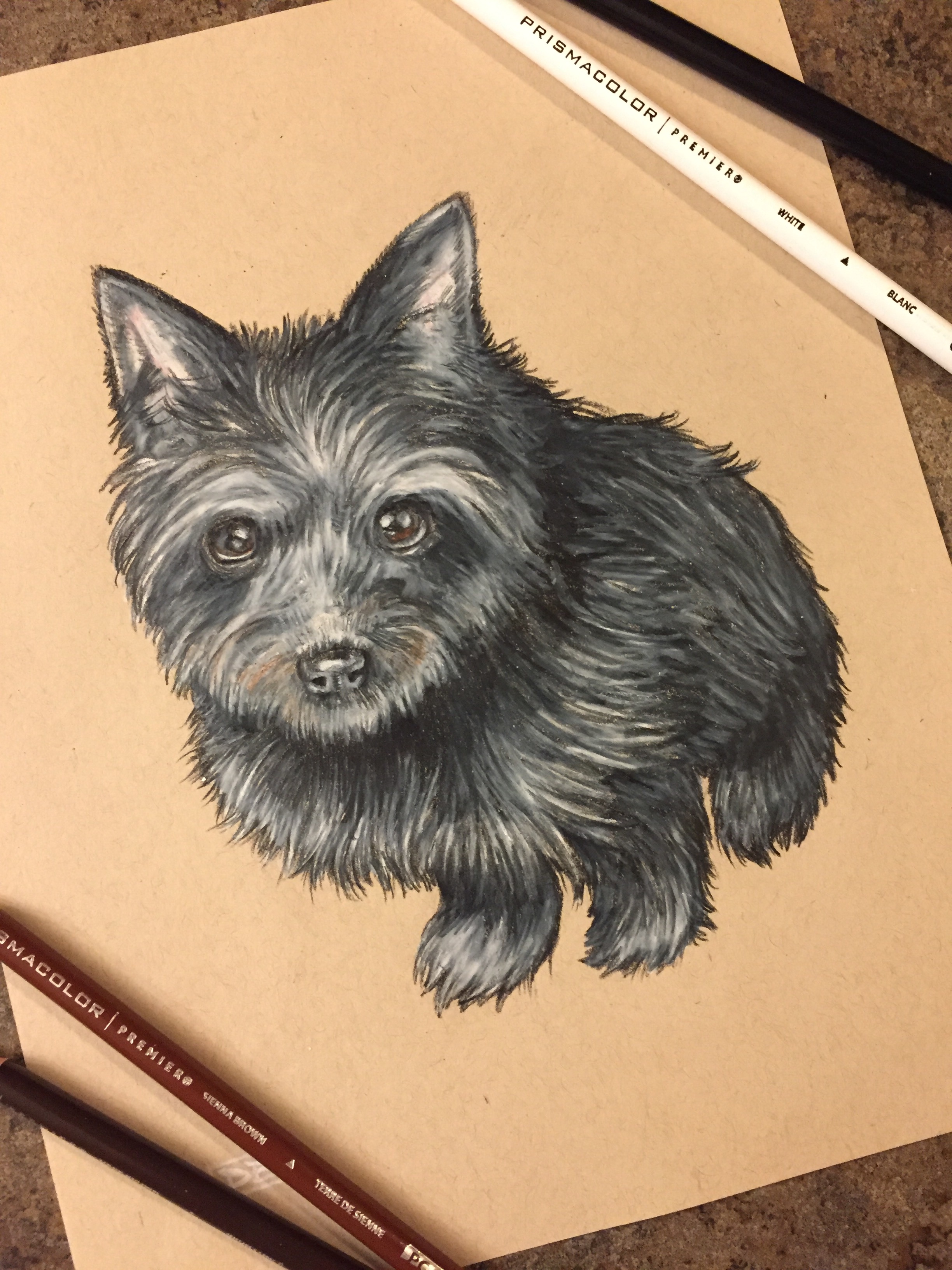 Pet Portrait Commission