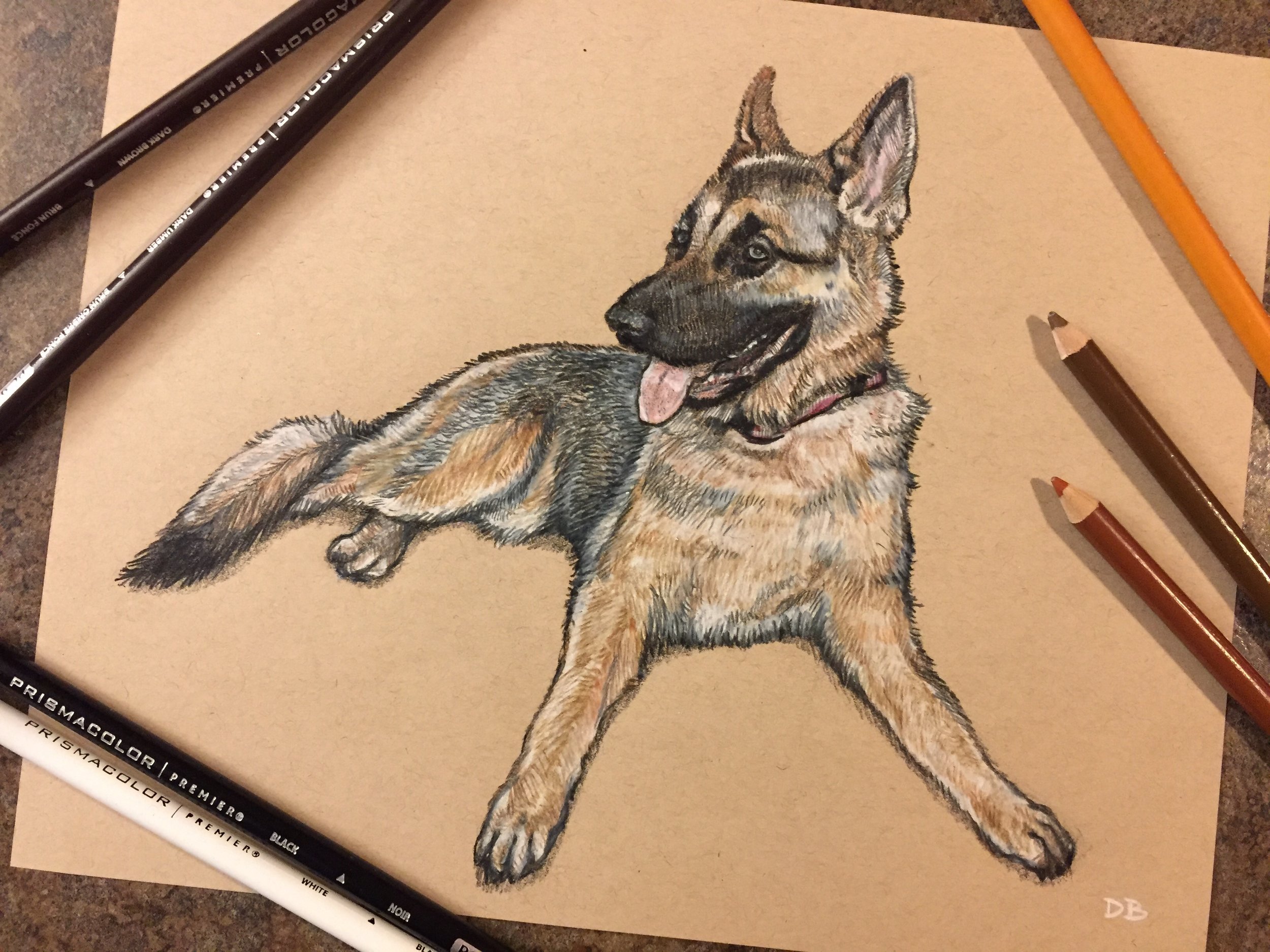 Anya Pet Portrait
