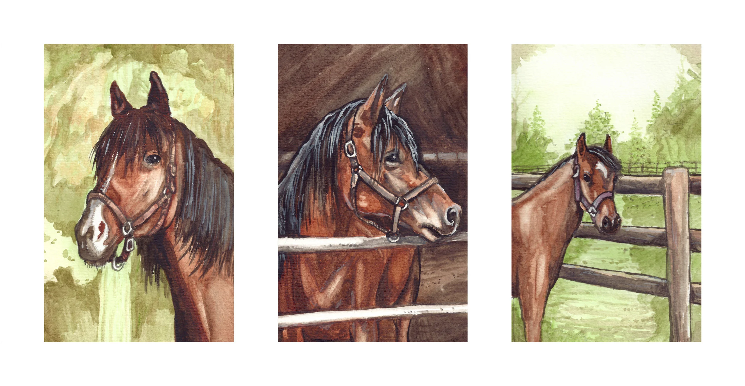 Horse Triptych Pet Portrait Commission