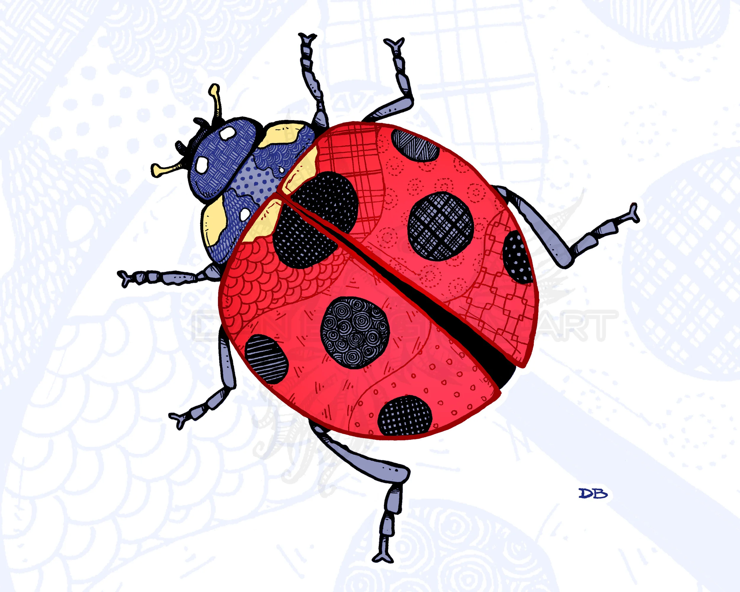 Zen Ladybug WATERMARKED.jpg