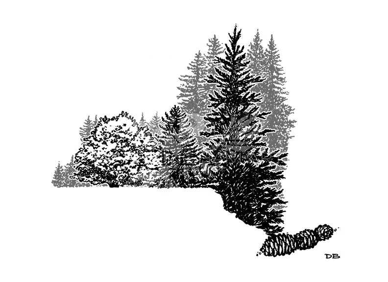 NY Adk WATERMARKED 8.5x11.jpg