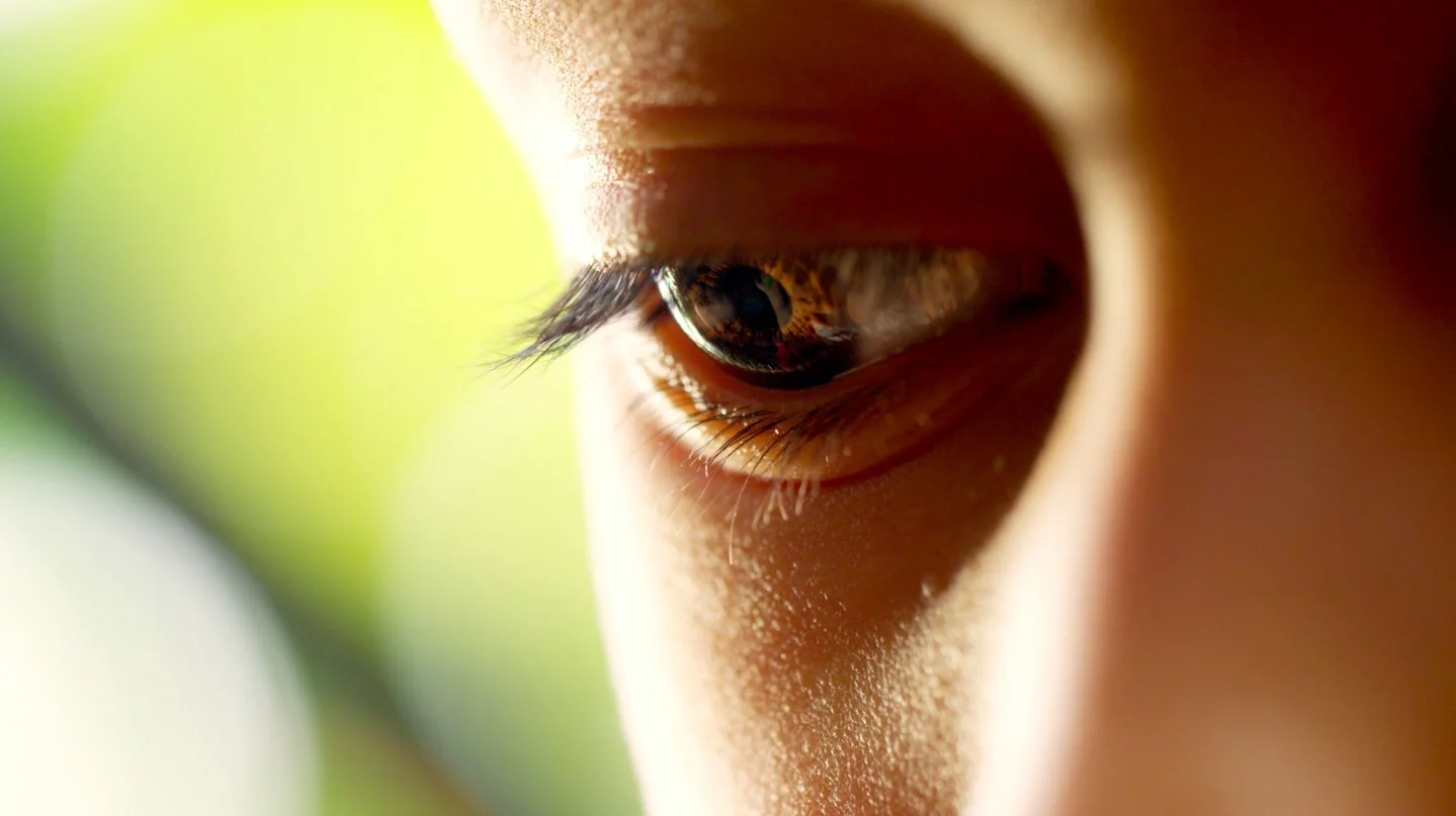 Screen Shot 2017-02-07 at 6.50.25 PM.jpg