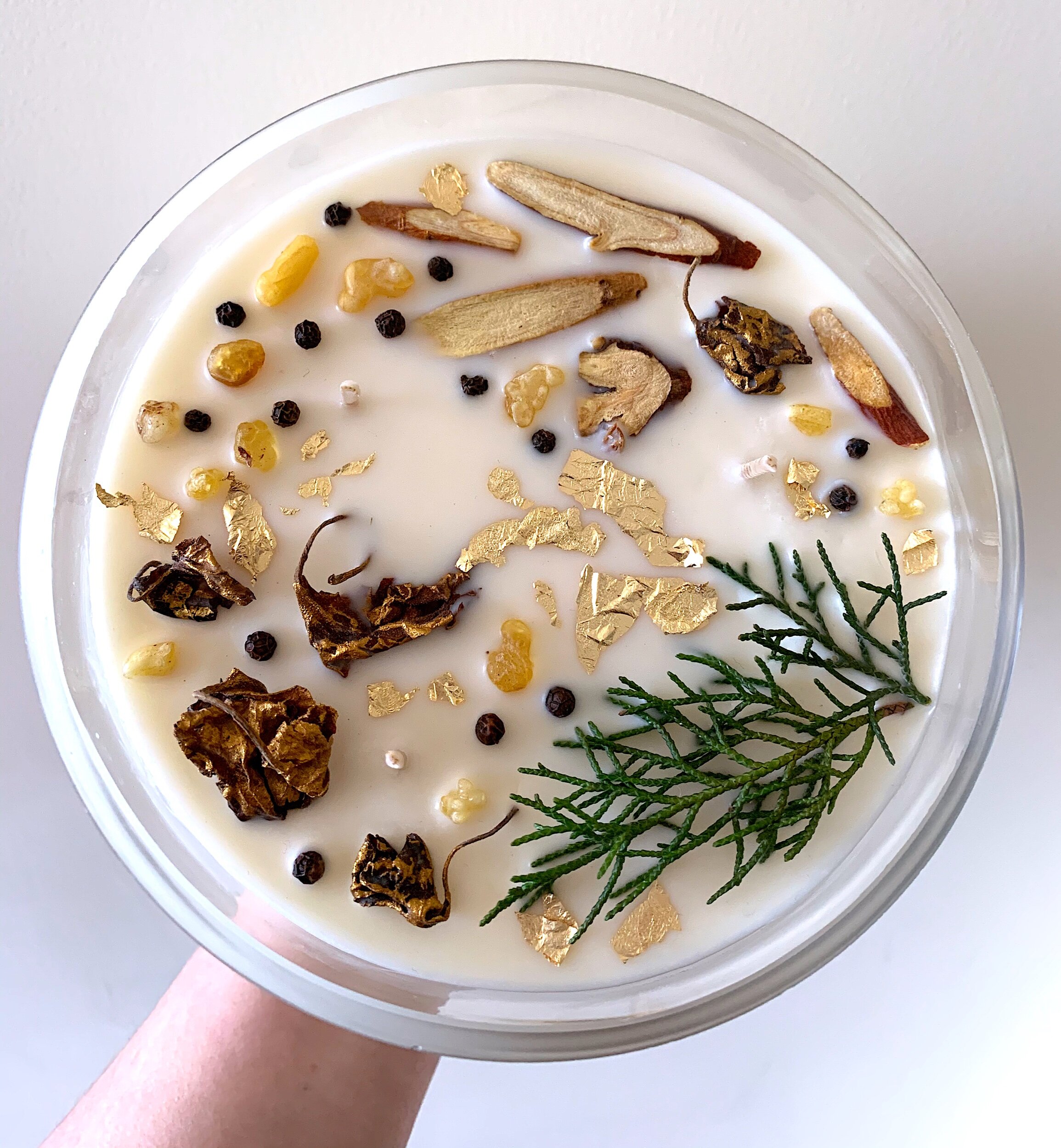 36708AC5-4302-4321-8D37-6E3EA1C48E83