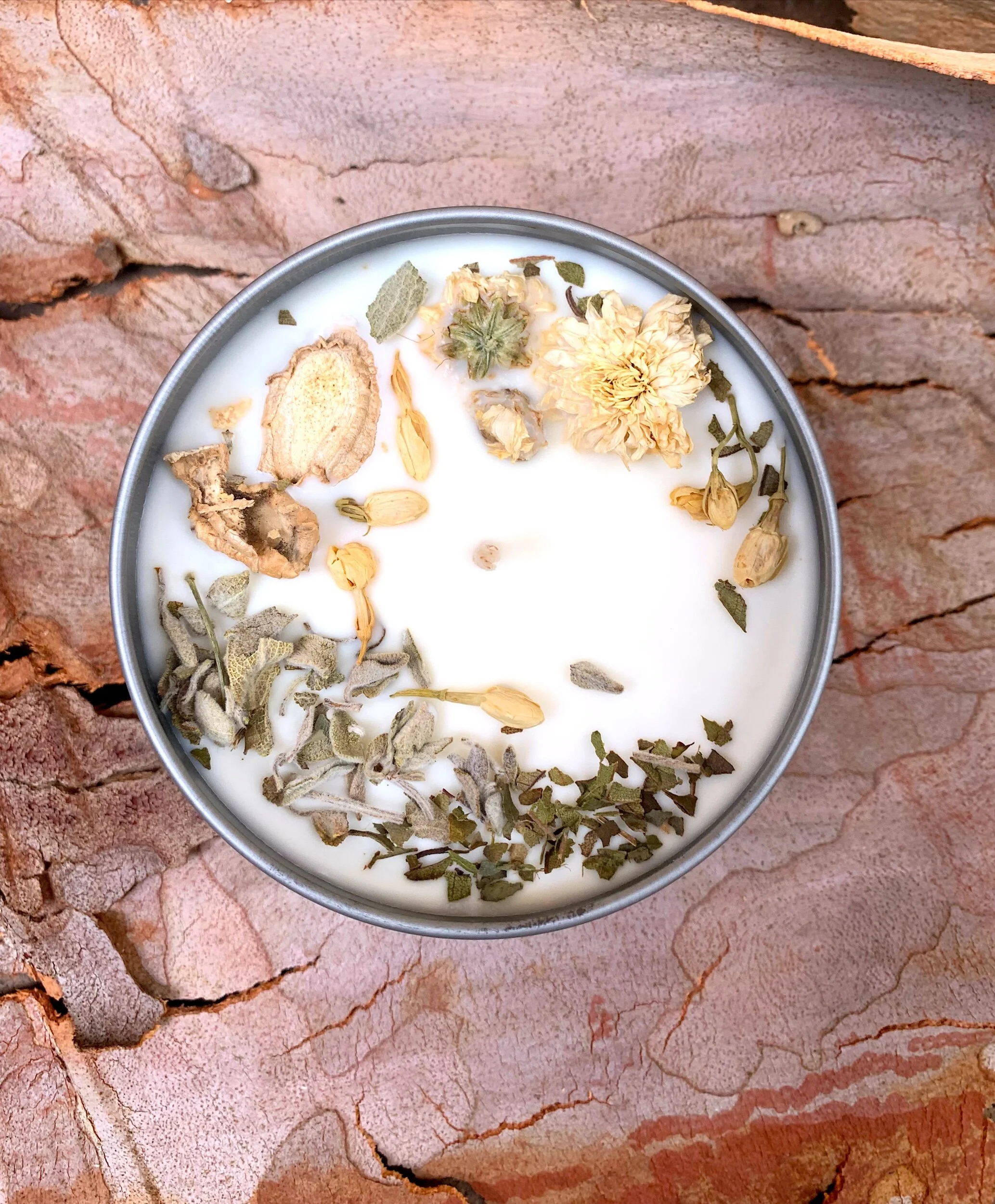 7737AF2C-56AB-4AB2-9708-9A5CF379761F