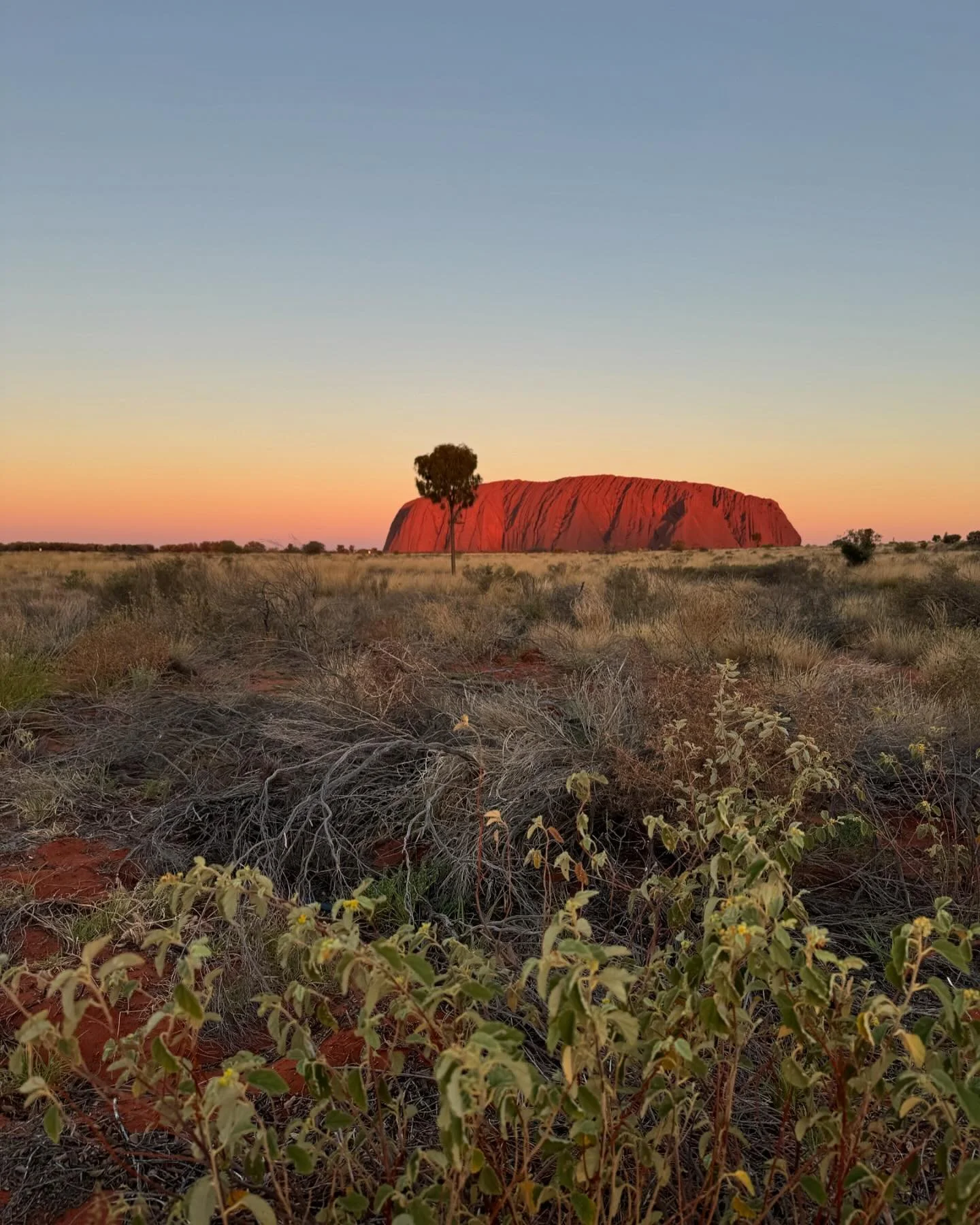 Last week I stood on the lands of the Pitjantjatjara and Yankunytjatjara People. Who call themselves Aṉangu.

I came here to write, but instead was reminded that nature gives us what we need, not what we want. So while I barely wrote more than a few 
