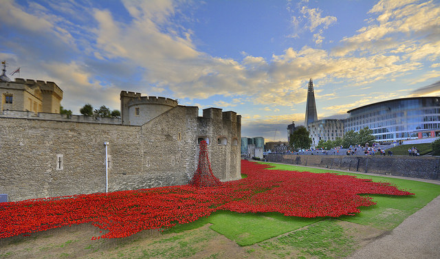 "The Blood Swept Lands And Seas of Red exhibition, by artist Paul Cummins, involves 888,246 ceramic poppies planted in the dry moat at the Tower. A poppy has been made for each British and Colonial death during the conflict. The final one due to be installed on Armistice Day." Photo by Martin Pettitt .