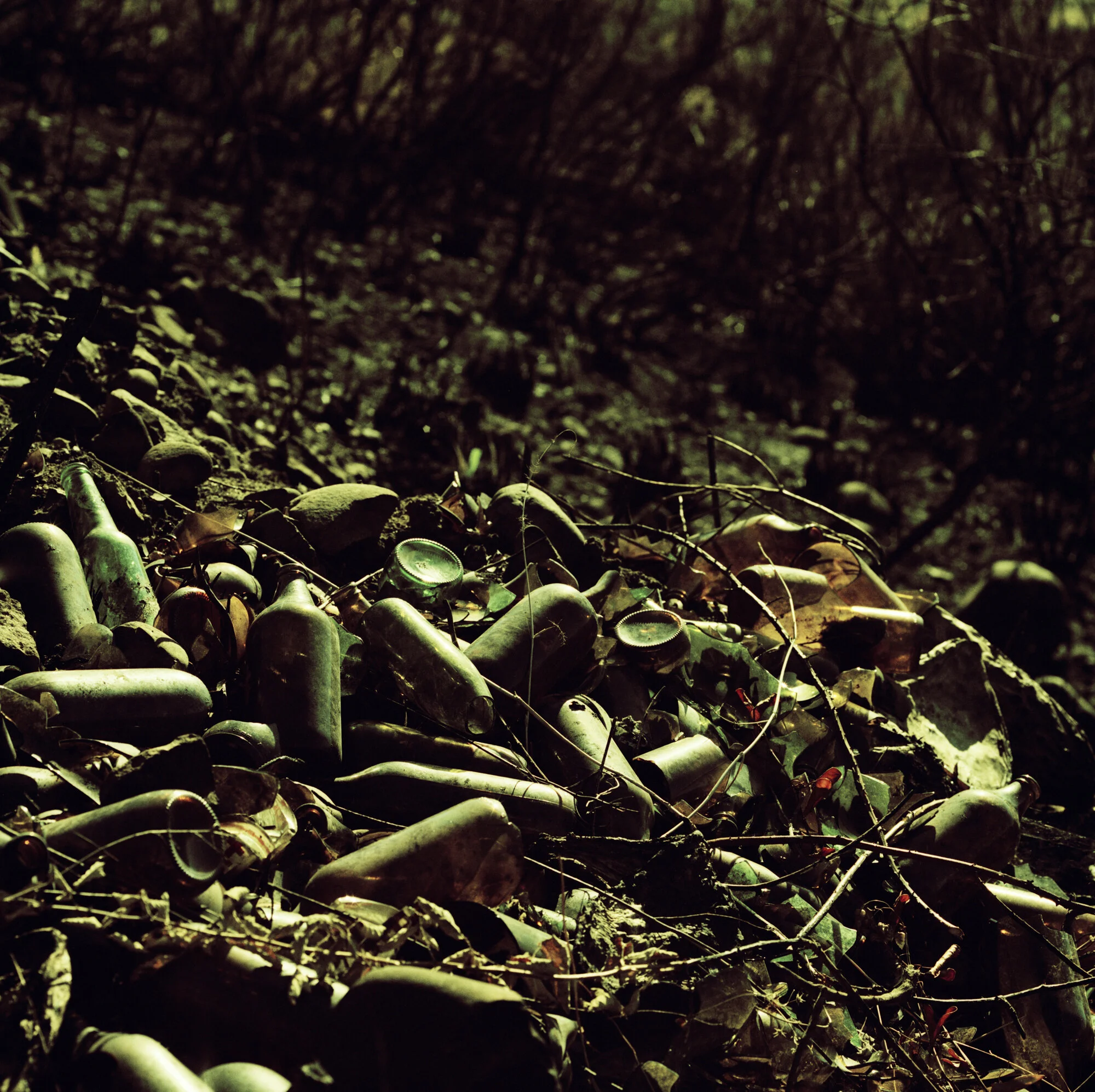 010_Untitled57x.jpg