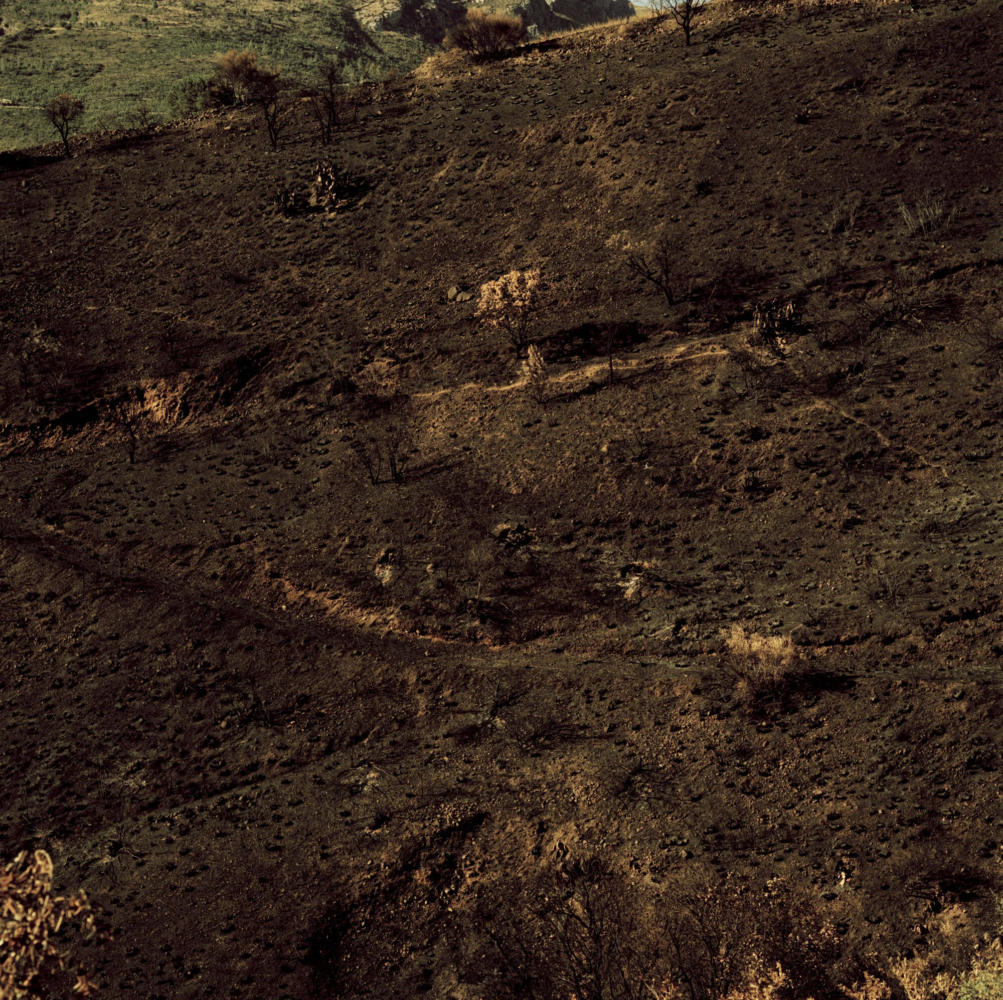 011_Untitled59x.jpg