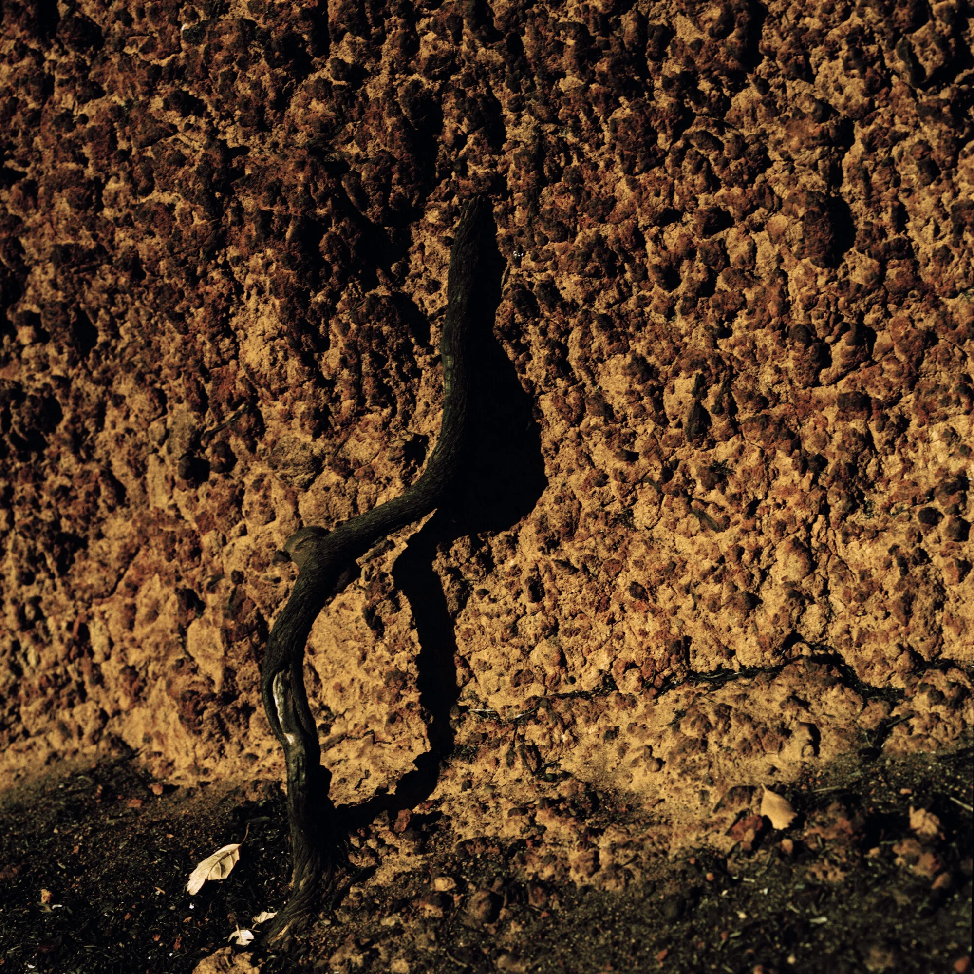 015_Untitled48x.jpg