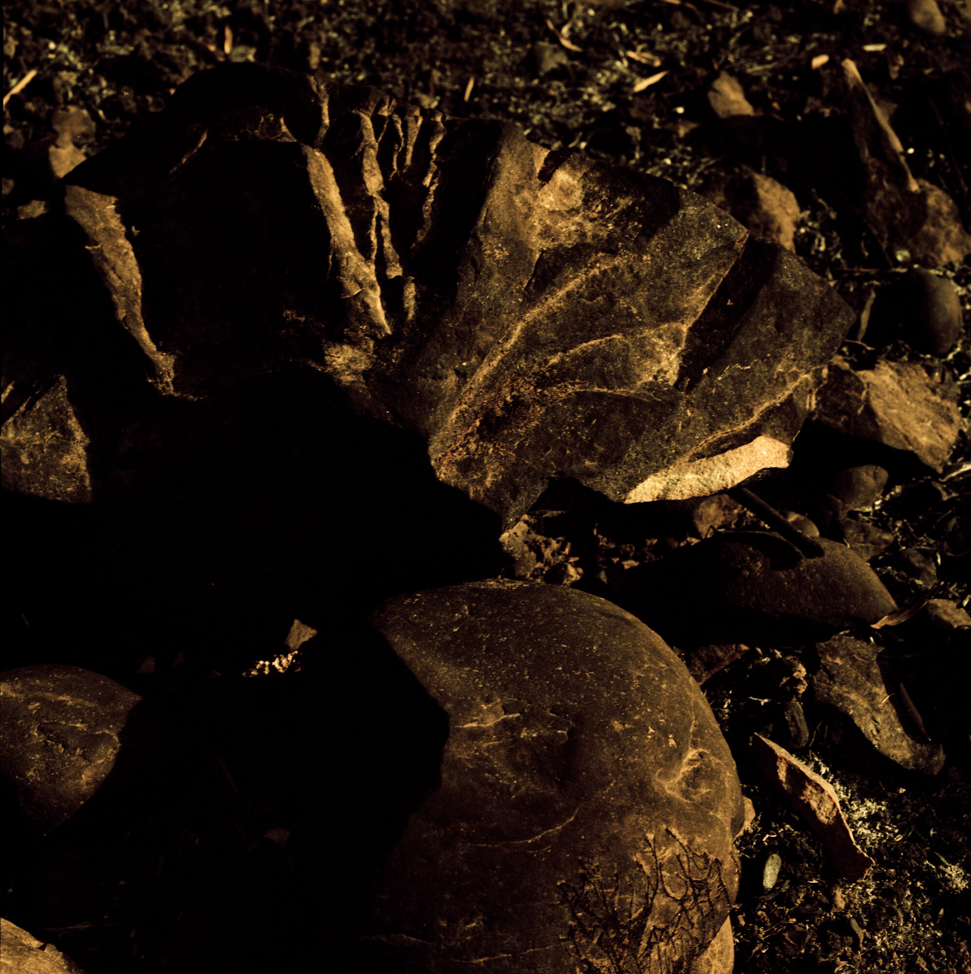 Untitled53x.jpg