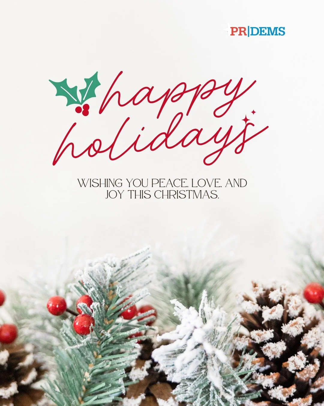 Happy Holidays from the Pound Ridge Democratic Committee. We hope this season brings you warmth, joy, and time to rest and recharge with loved ones.

We&rsquo;re excited to continue moving Pound Ridge forward together. We will continue building a com