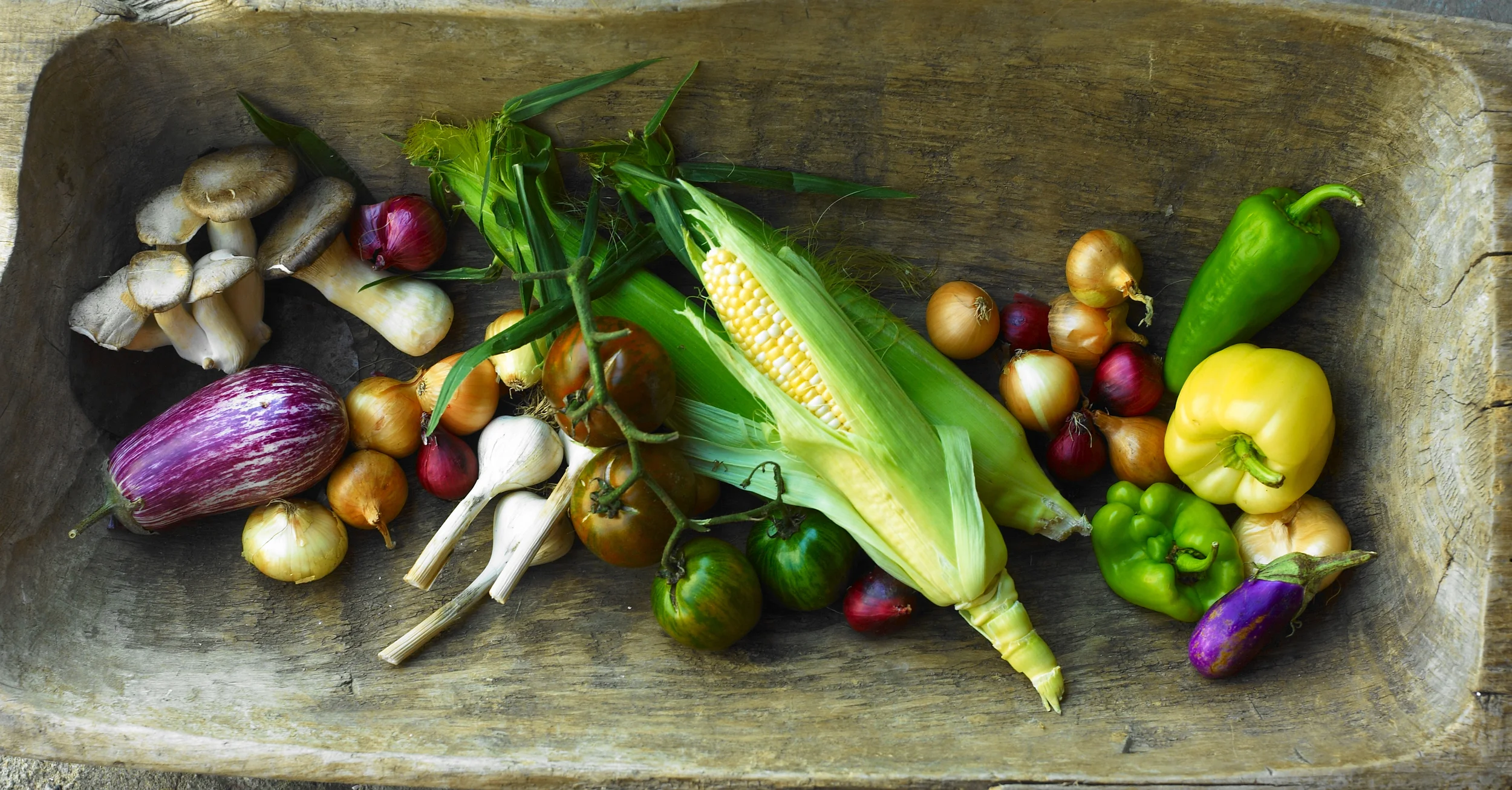 Still Life Promotion: Vegetable 1