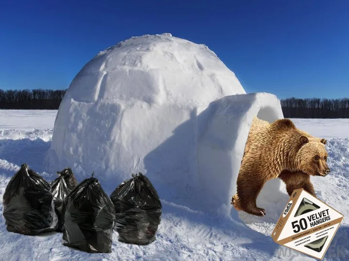 5 Ways to Tidy While You Hibernate