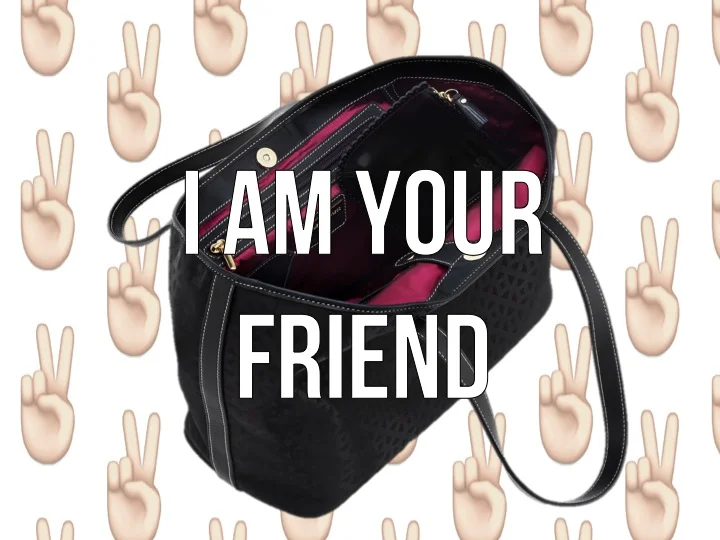 Organizing Your Purse, #NotABagLady