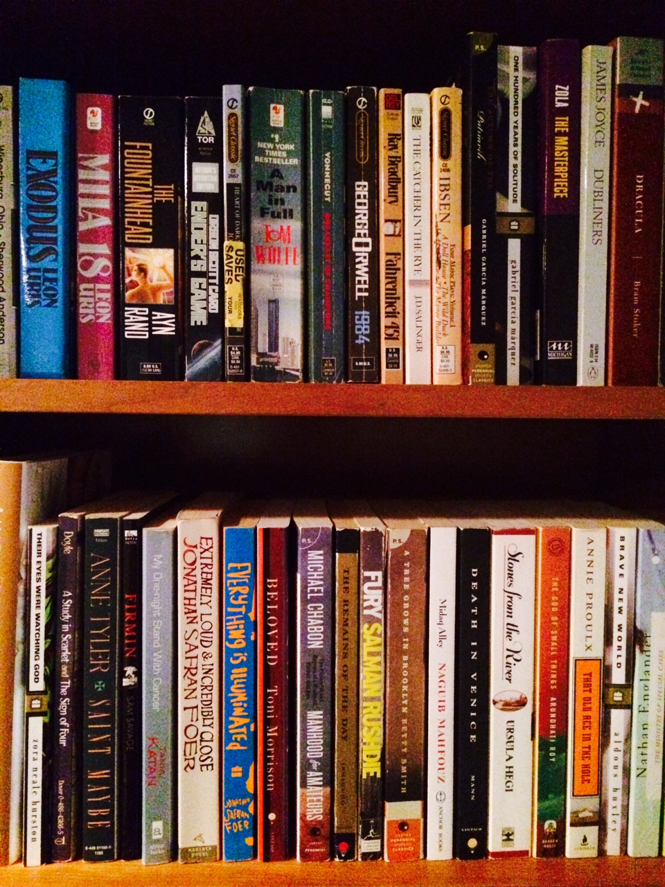How To Organize a Bookshelf