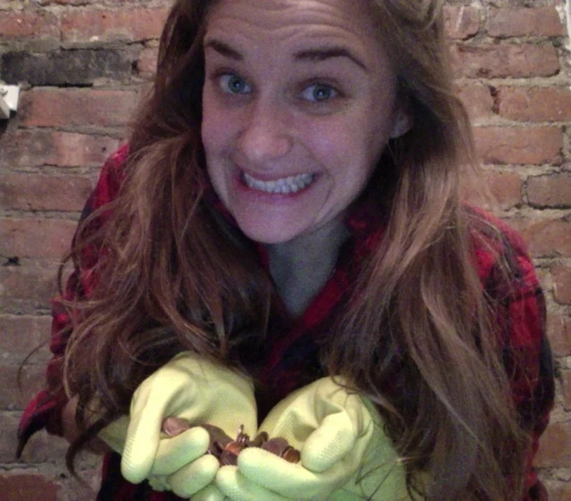 Gettin' Tidy on a Budget