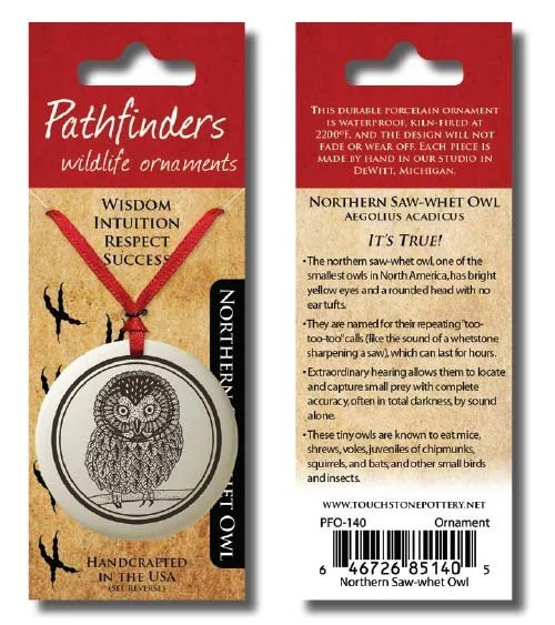 Northern Saw-whet Owl