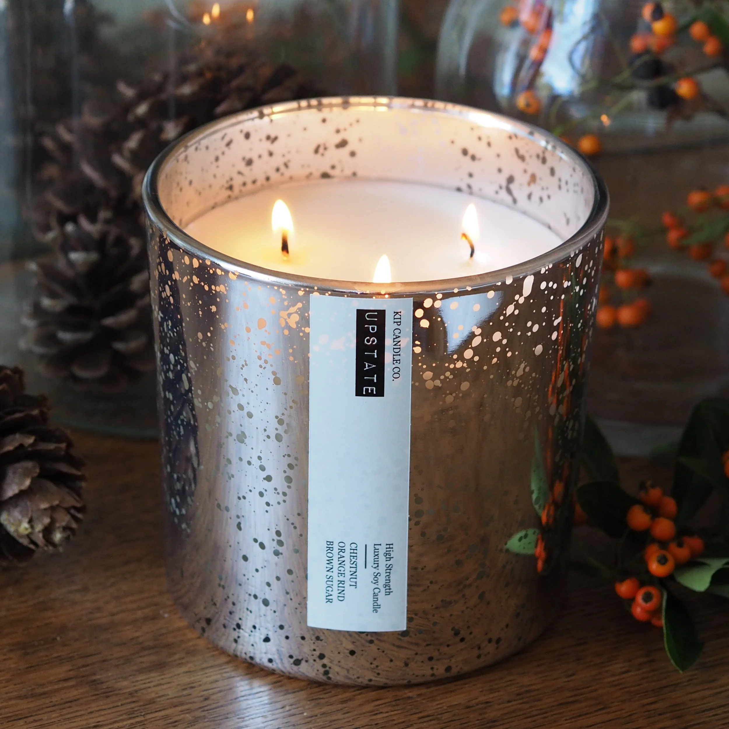 Kip-Candle2.JPG