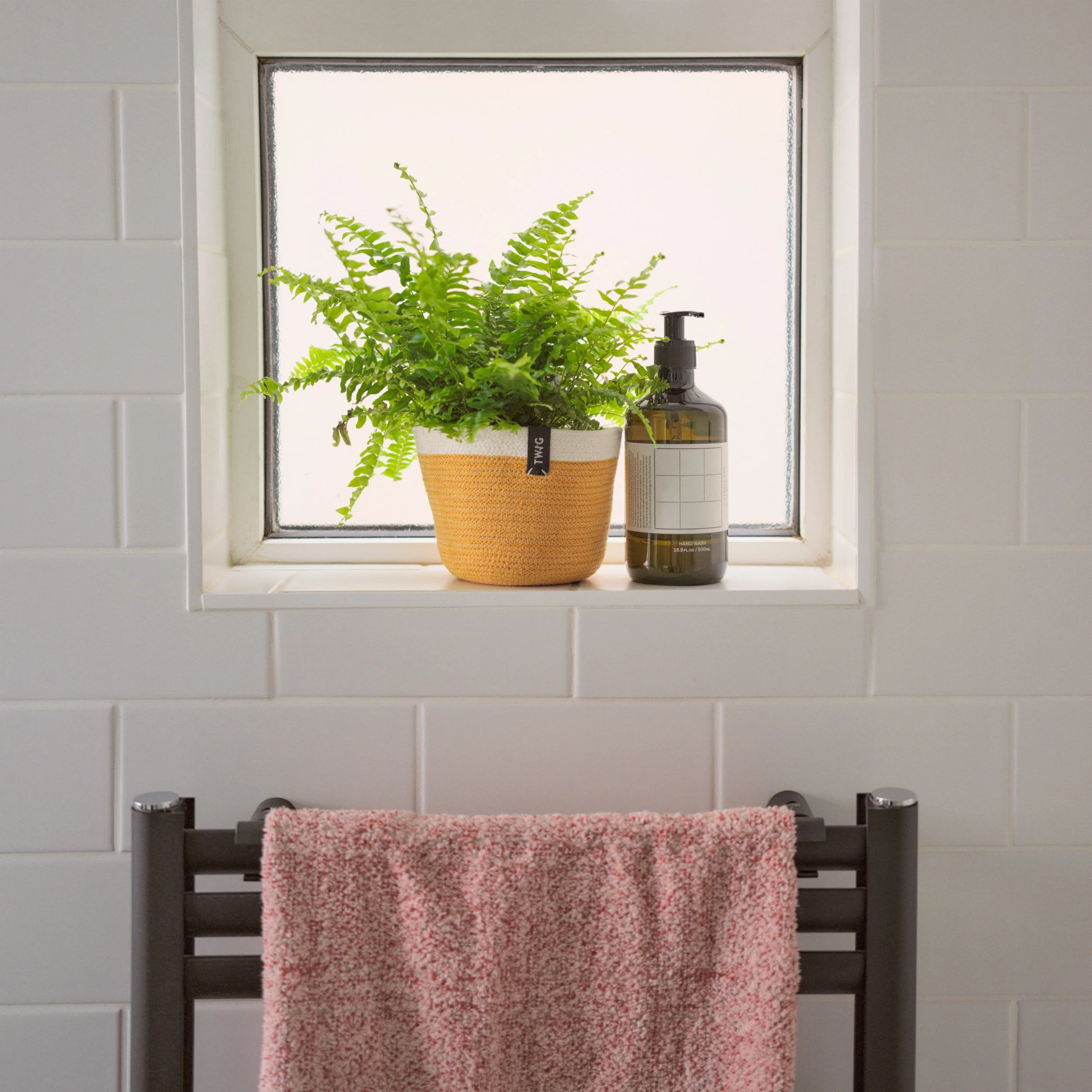 Josh Adam Jones_Twig Plants_Web_10.JPG