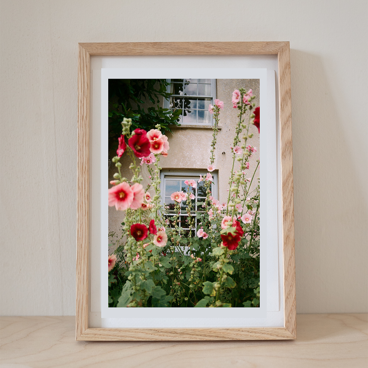 Charleston-hollyhocks-framed.png
