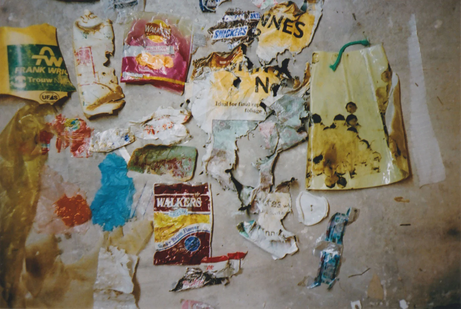 Lovers-Greenpeace-009.jpg