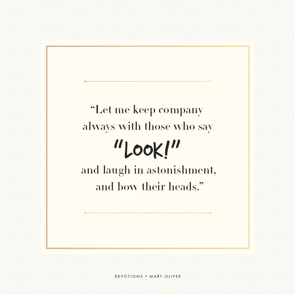 Devotions_QuoteCards2.jpg
