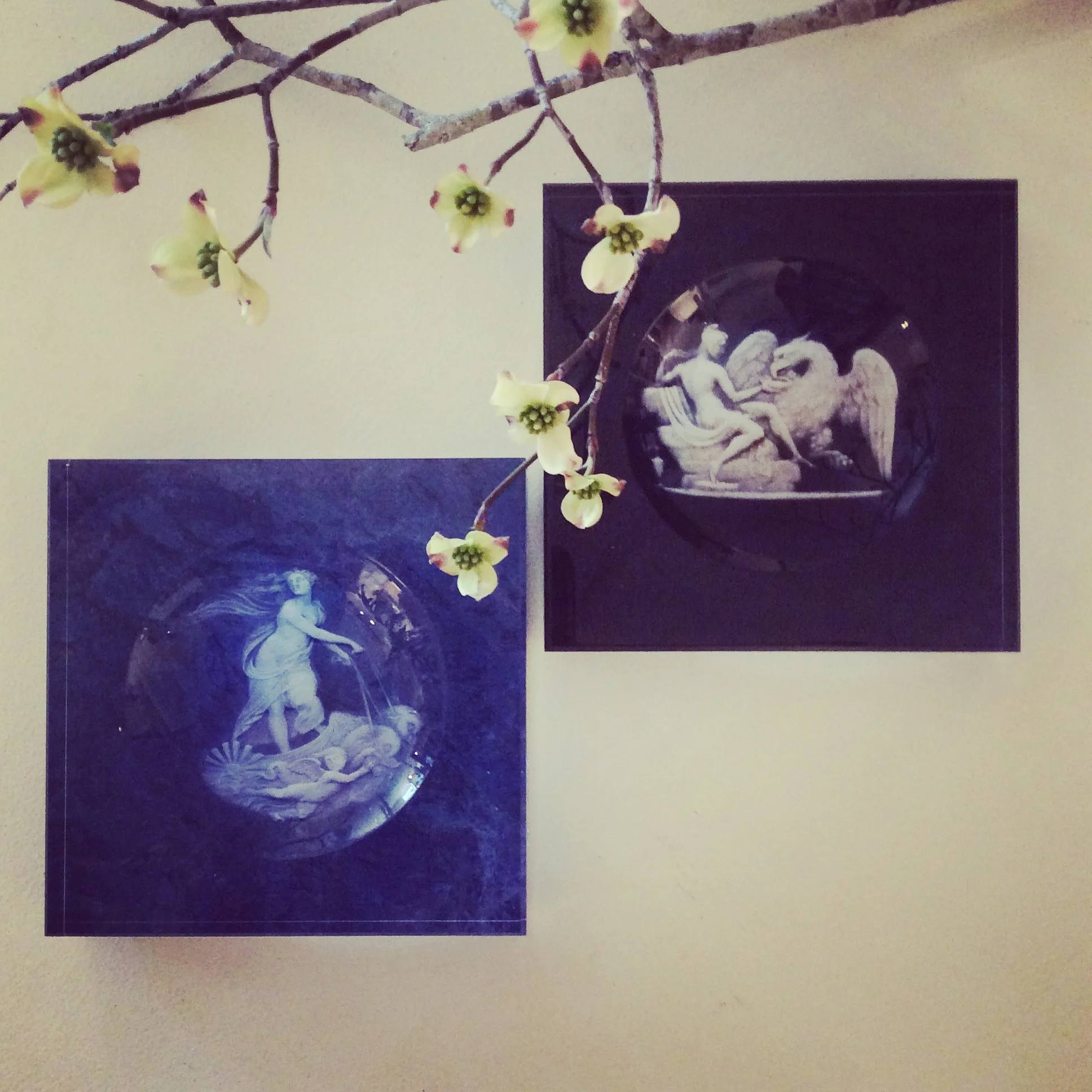 Classical Goddess Lucite Bowls 