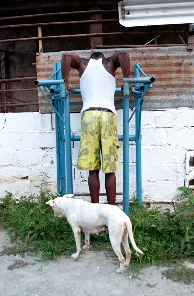 bicep-dog.jpg