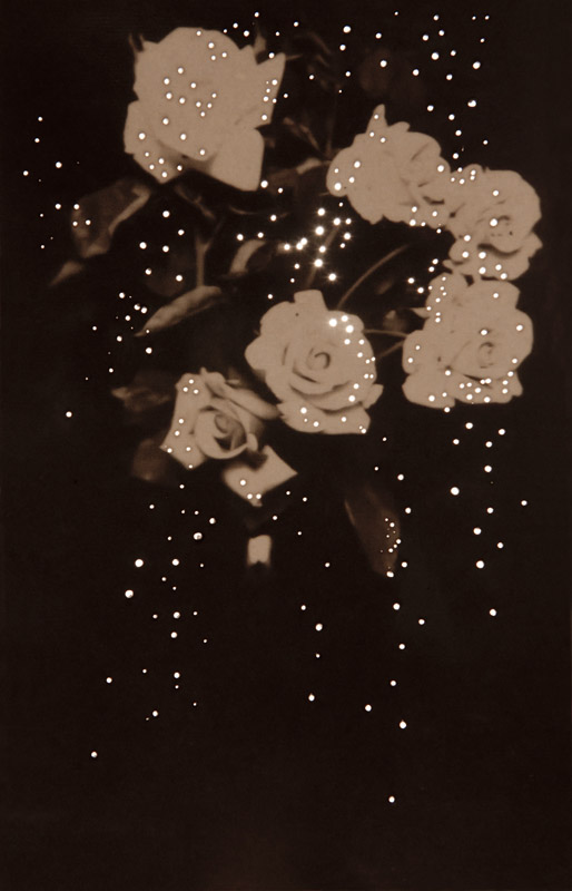 Mom's Roses, 1914