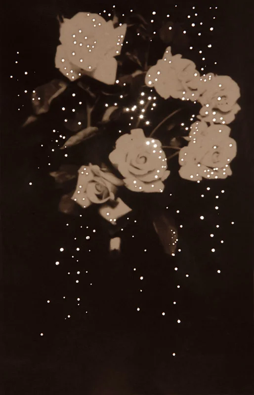 Mom's Roses, 1914