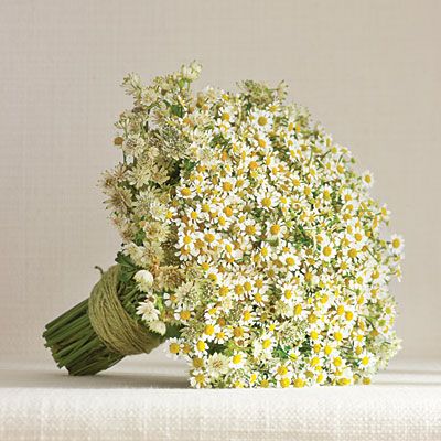 White Daisy Matricaria Bouquet