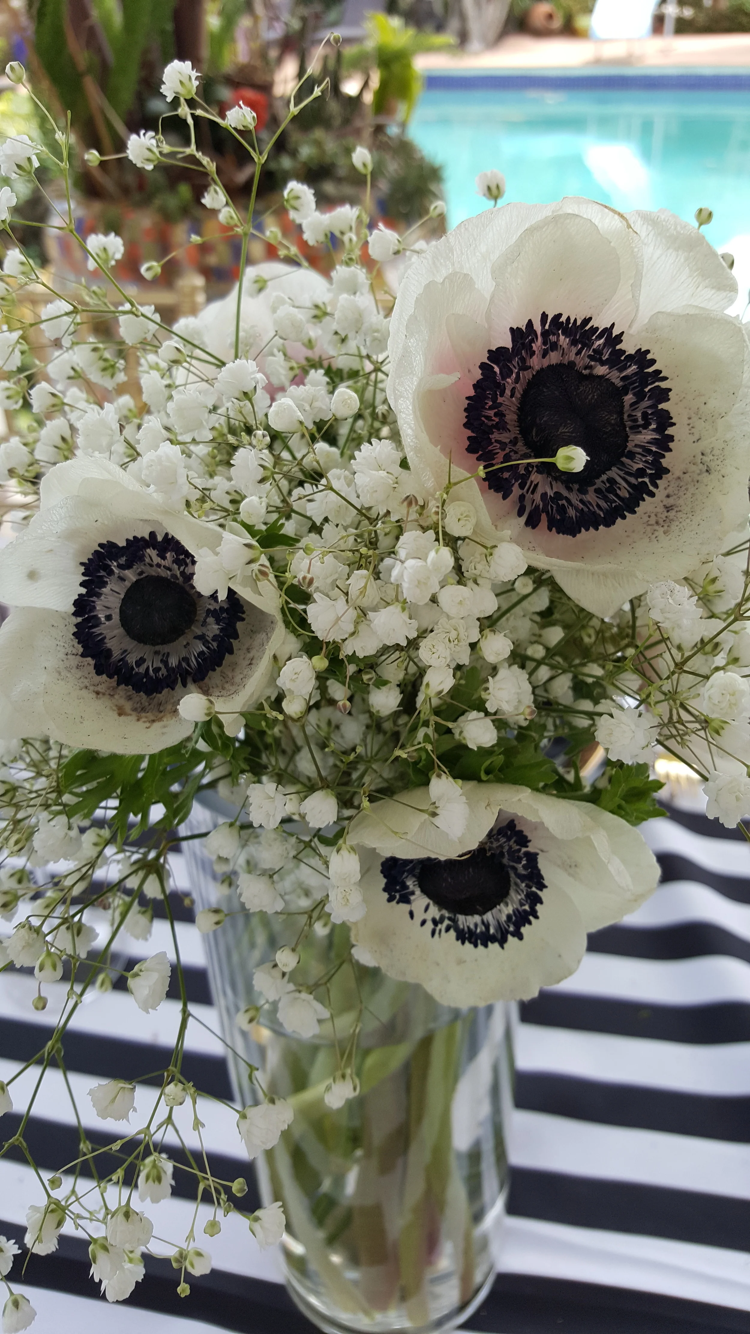 20160416_141844.jpg