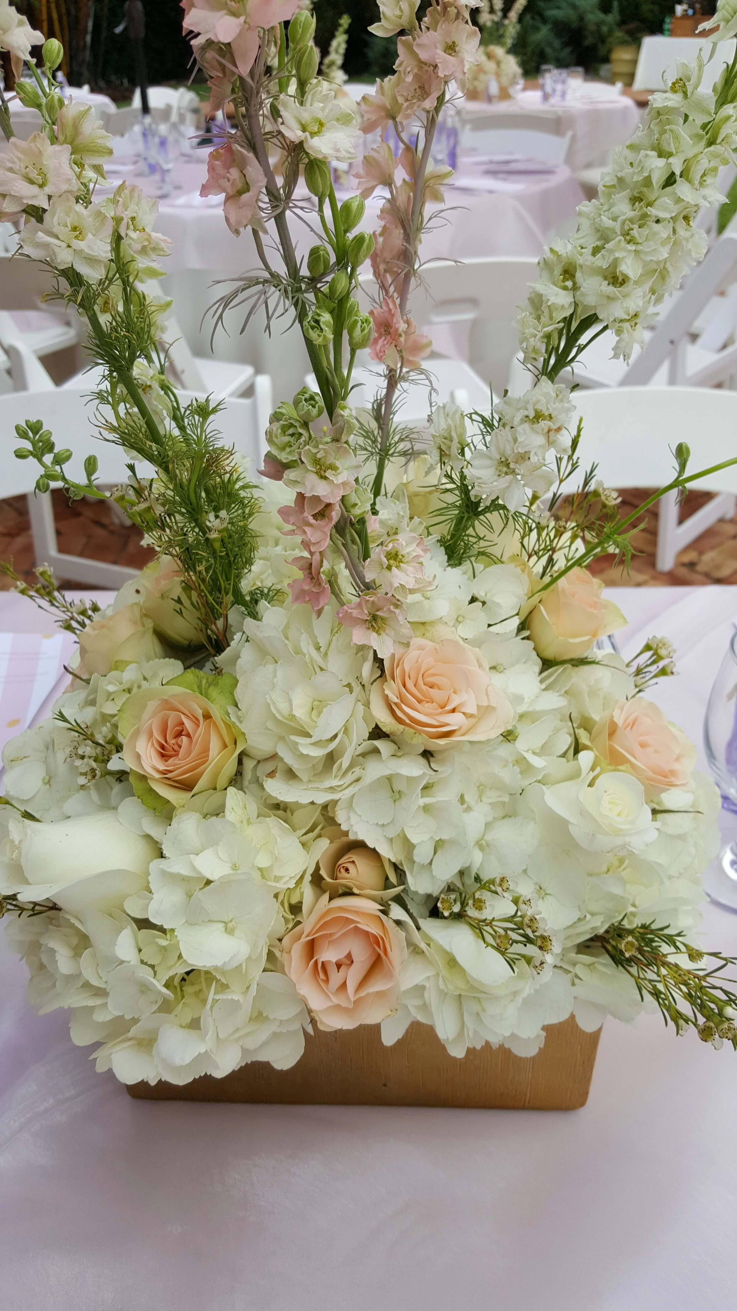 20160528_134641.jpg