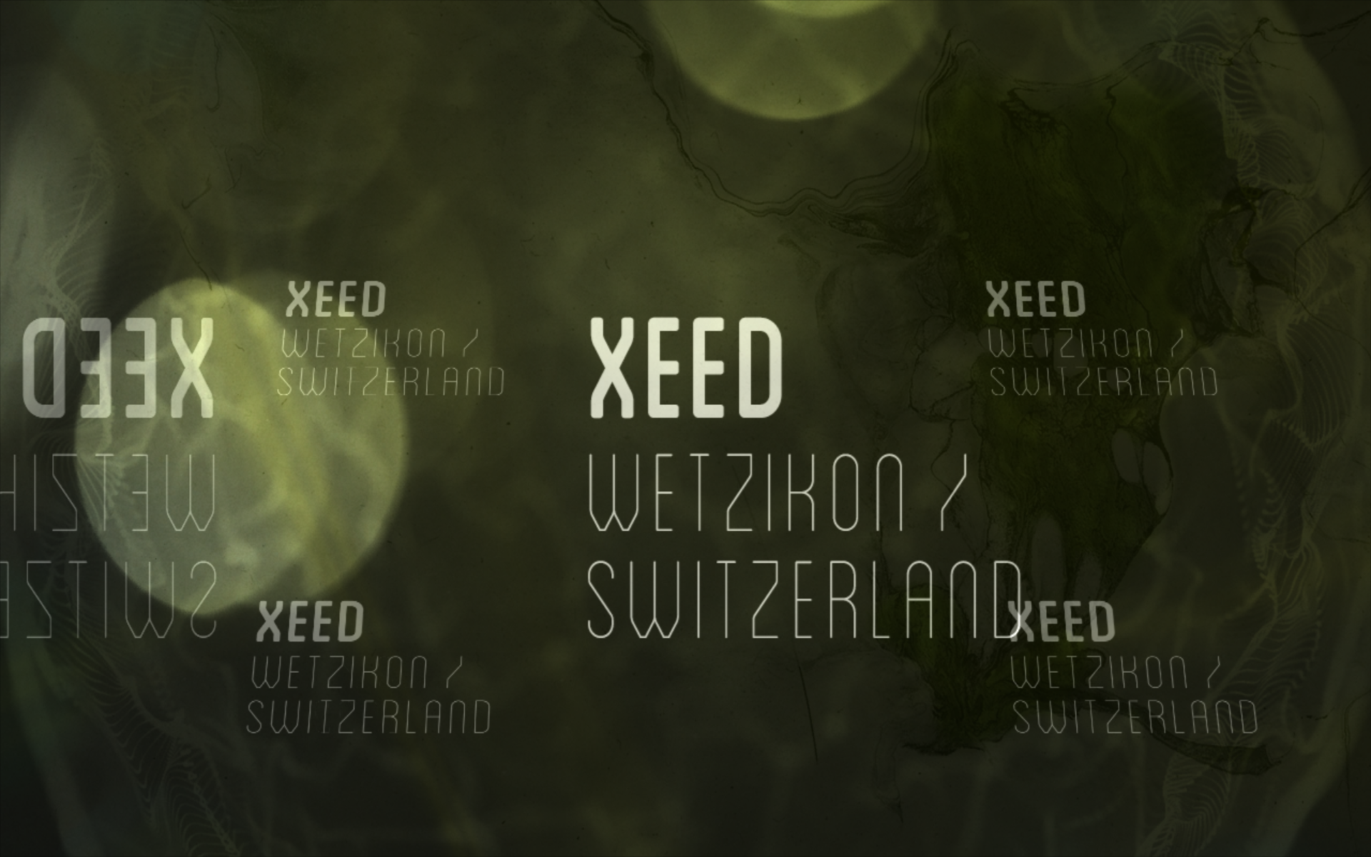 Domrauschen_Echogarden_Fetival_Visuals_2.png