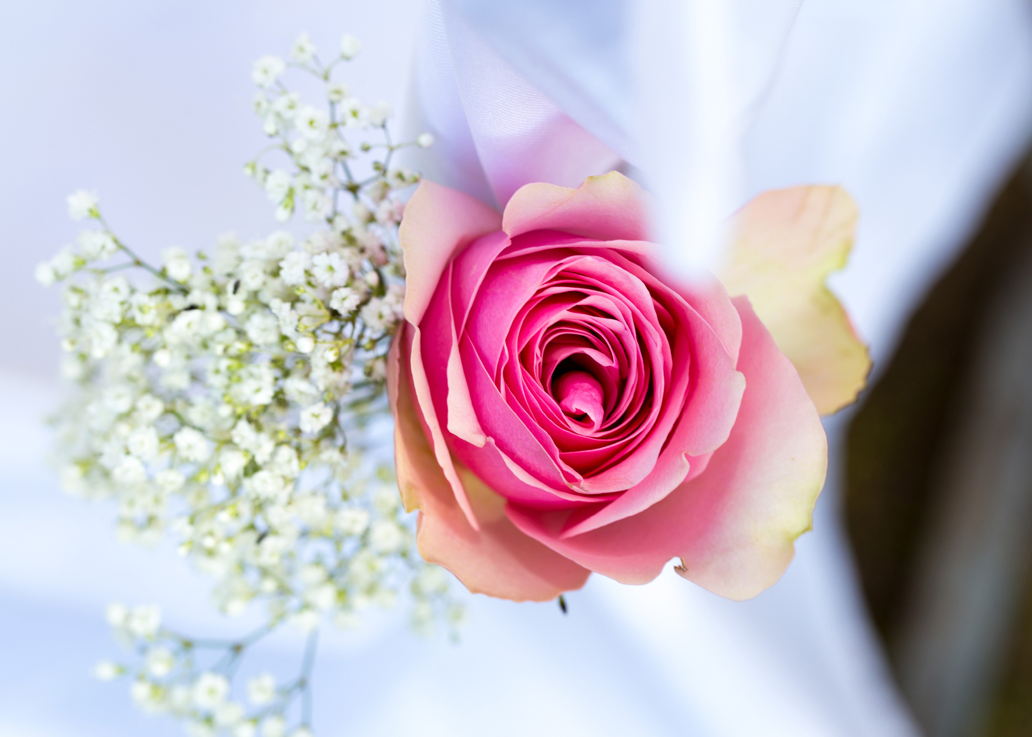 Domrauschen_Grafikdesign_Kampagne_Hochzeit_Misa_08.jpg