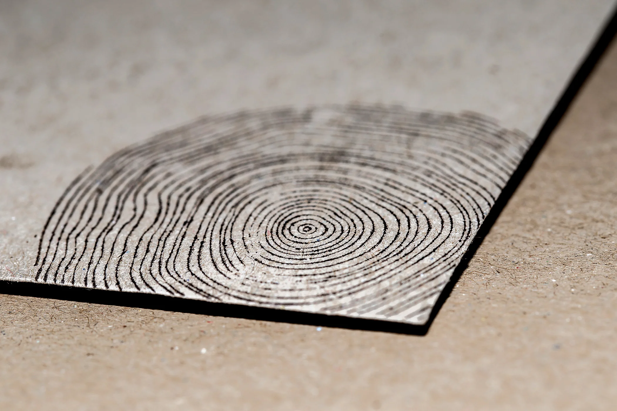 Domrauschen_Grafikdesign_Stoler_12.jpg