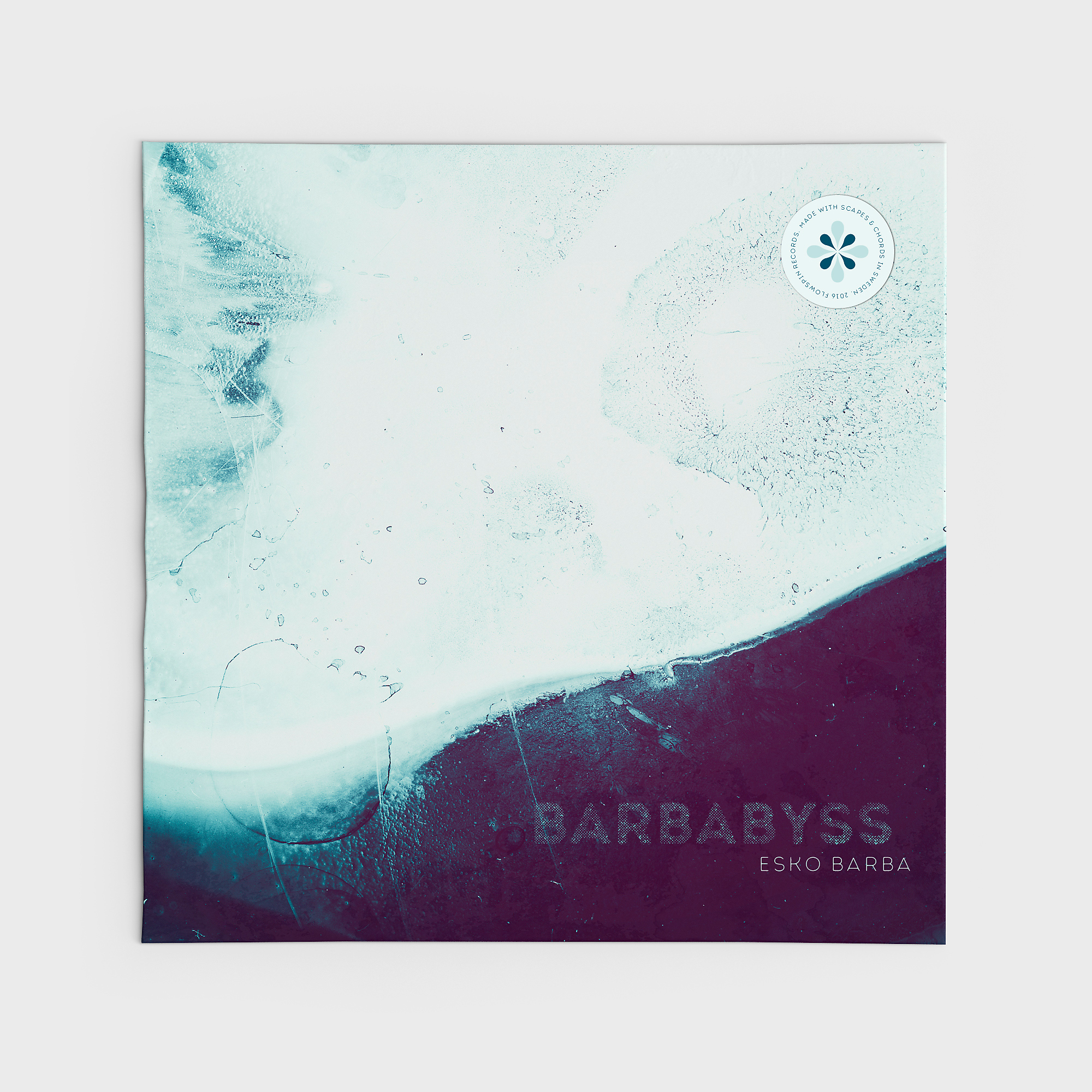 Domrauschen_Grafikddesign_Vinyl_-Barbabyss_1.jpg