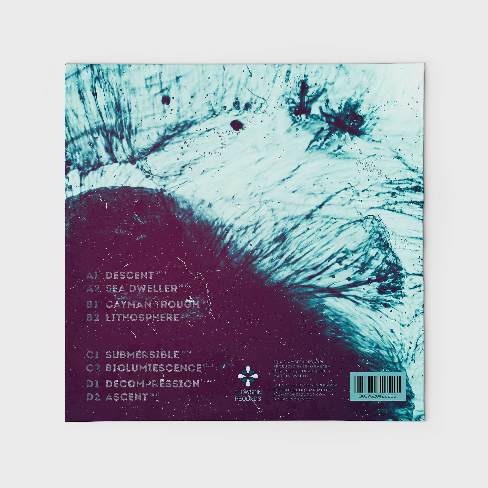 Domrauschen_Grafikddesign_Vinyl_-Barbabyss_2.jpg