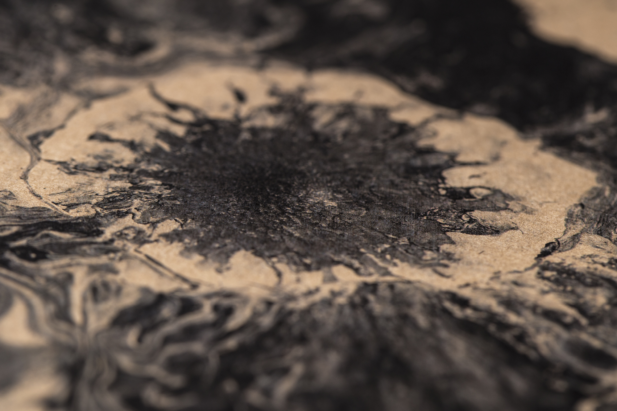Domrauschen_Grafikdesign_Echogarden_Compilation3_18.jpg