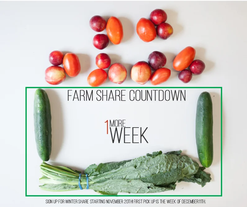 FarmShareCountdown3.jpg
