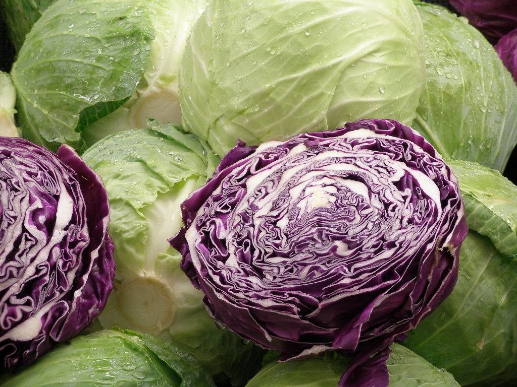 Cabbage.jpeg